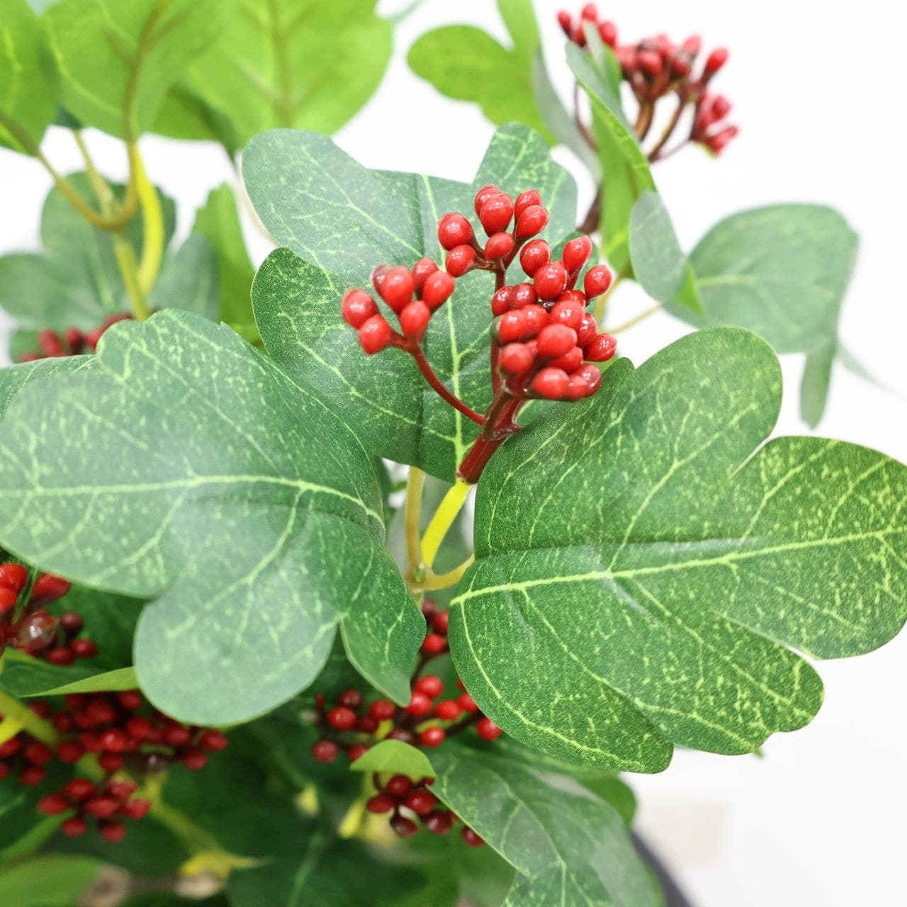 เบอรี่เล็ก (QE15), Berry cluster — rounded fruit clustered for warm, autumnal weight.