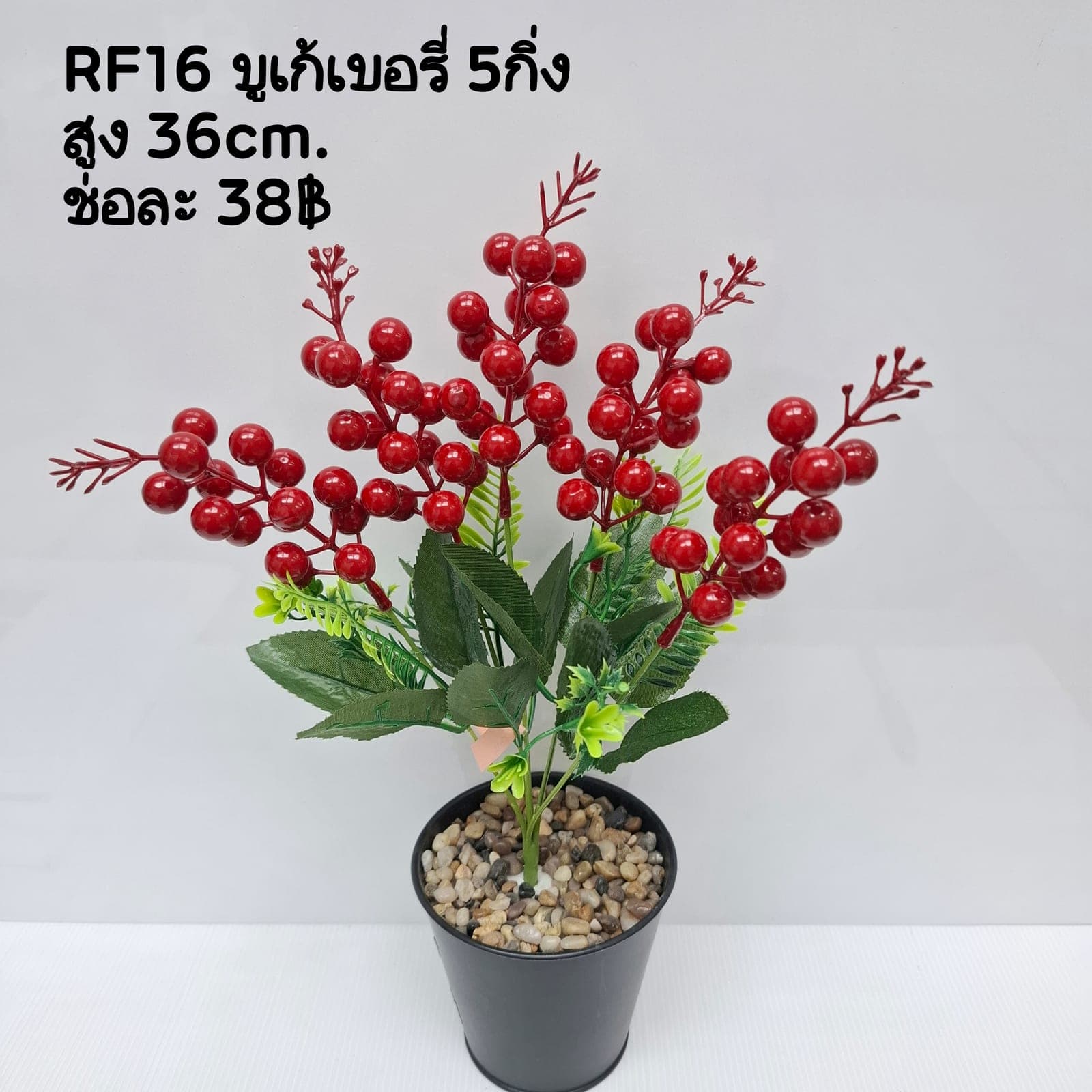 เบอรี่ (RF16-2)