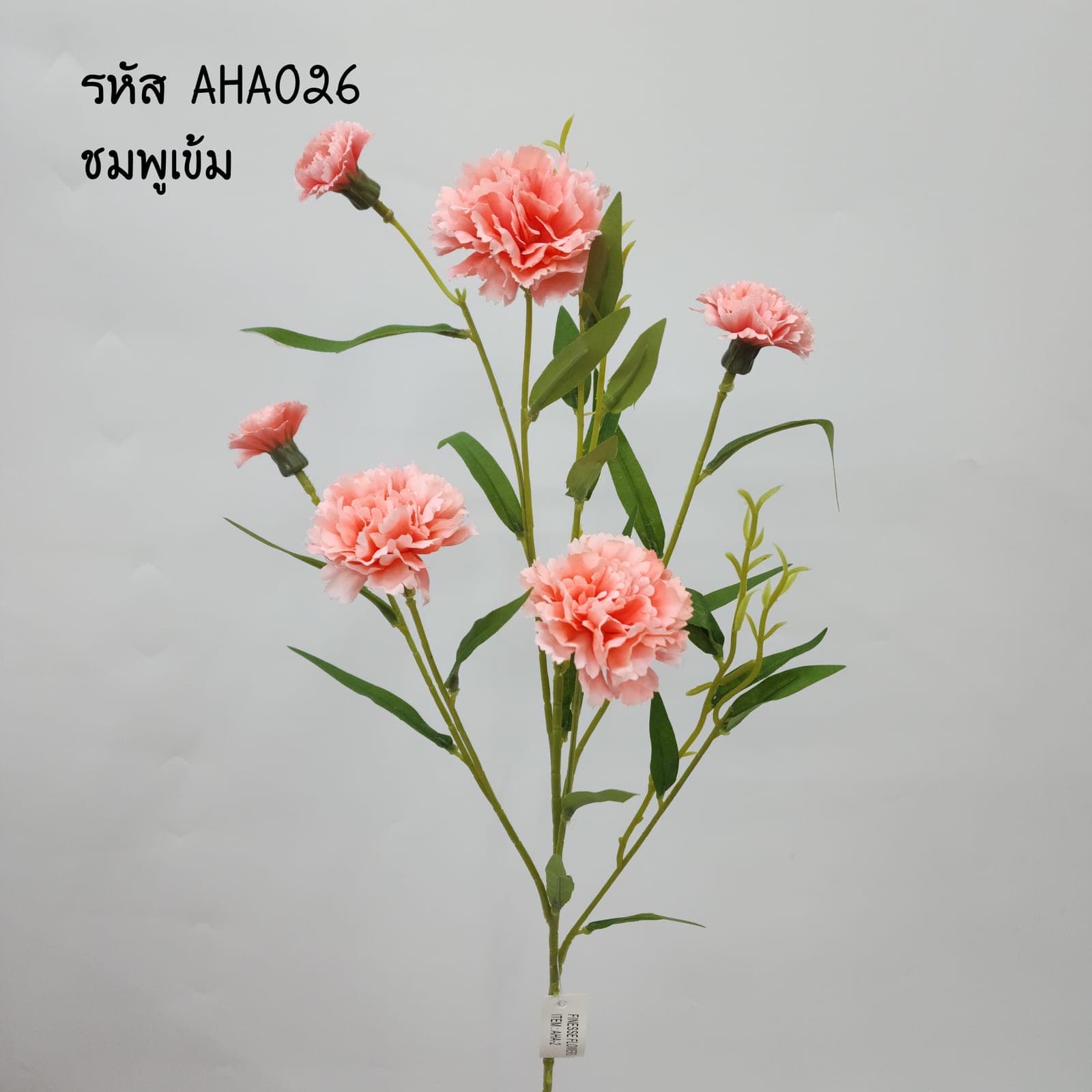 สเปร์ยคาเนชั่น (AHA02), Carnation — fringed petals in a tight, lasting crown.