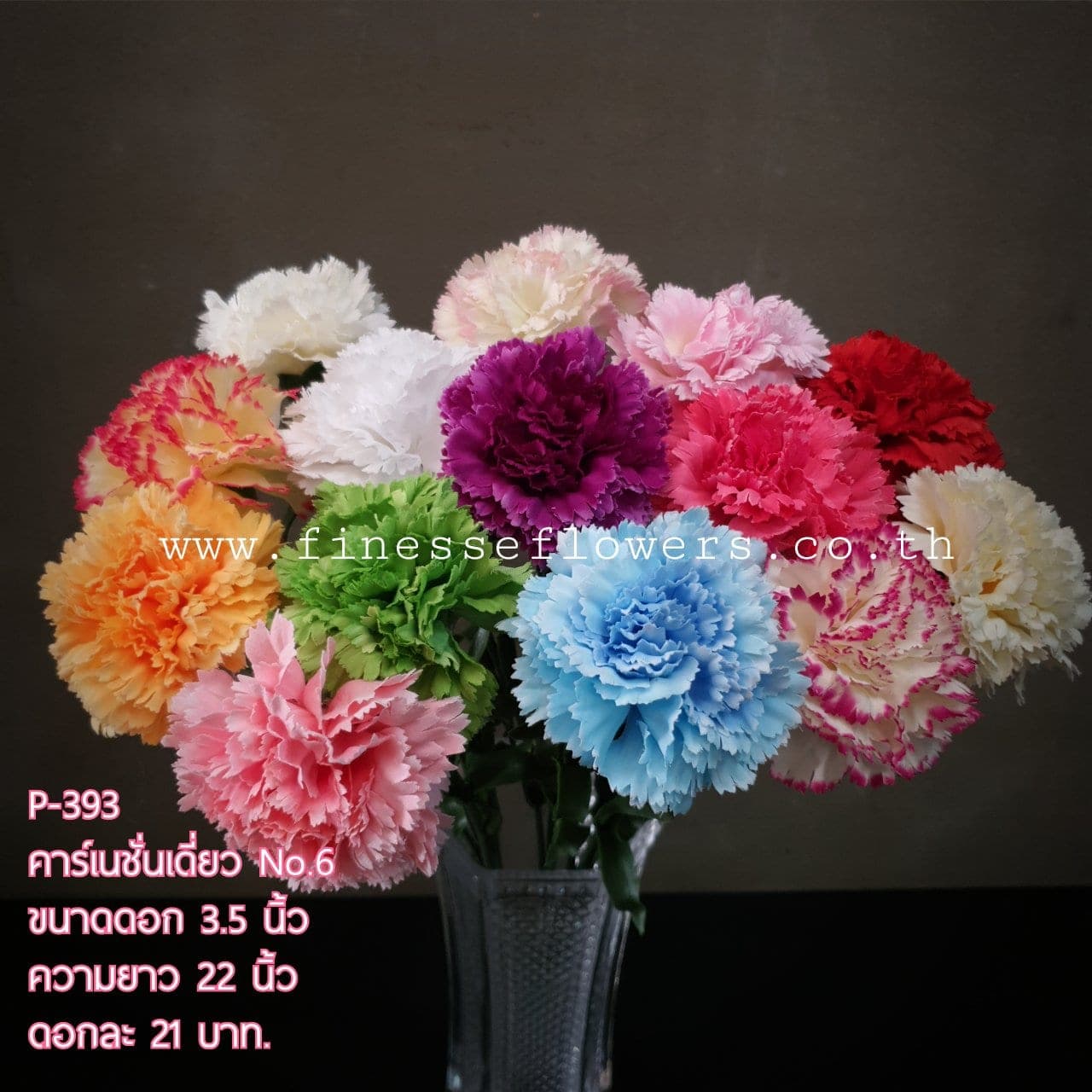 คาร์เนชั่นno.6 (P-393), Carnation — fringed petals layered into a tight, even crown.