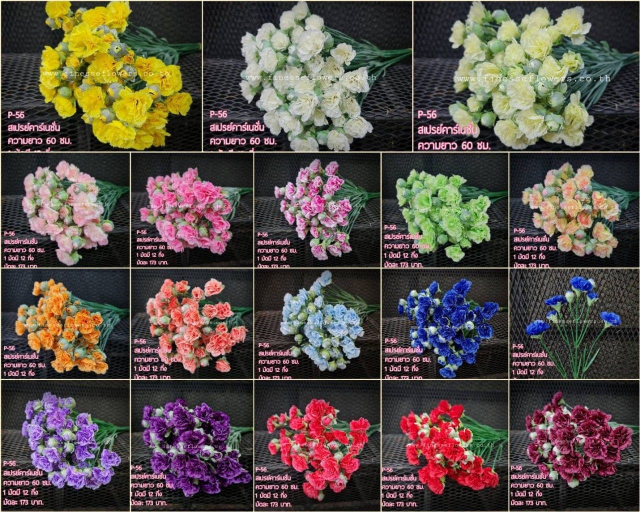 สเปรย์คาร์เนชั่น (P-56), Carnation — fringed petals layered into a tight, even crown.
