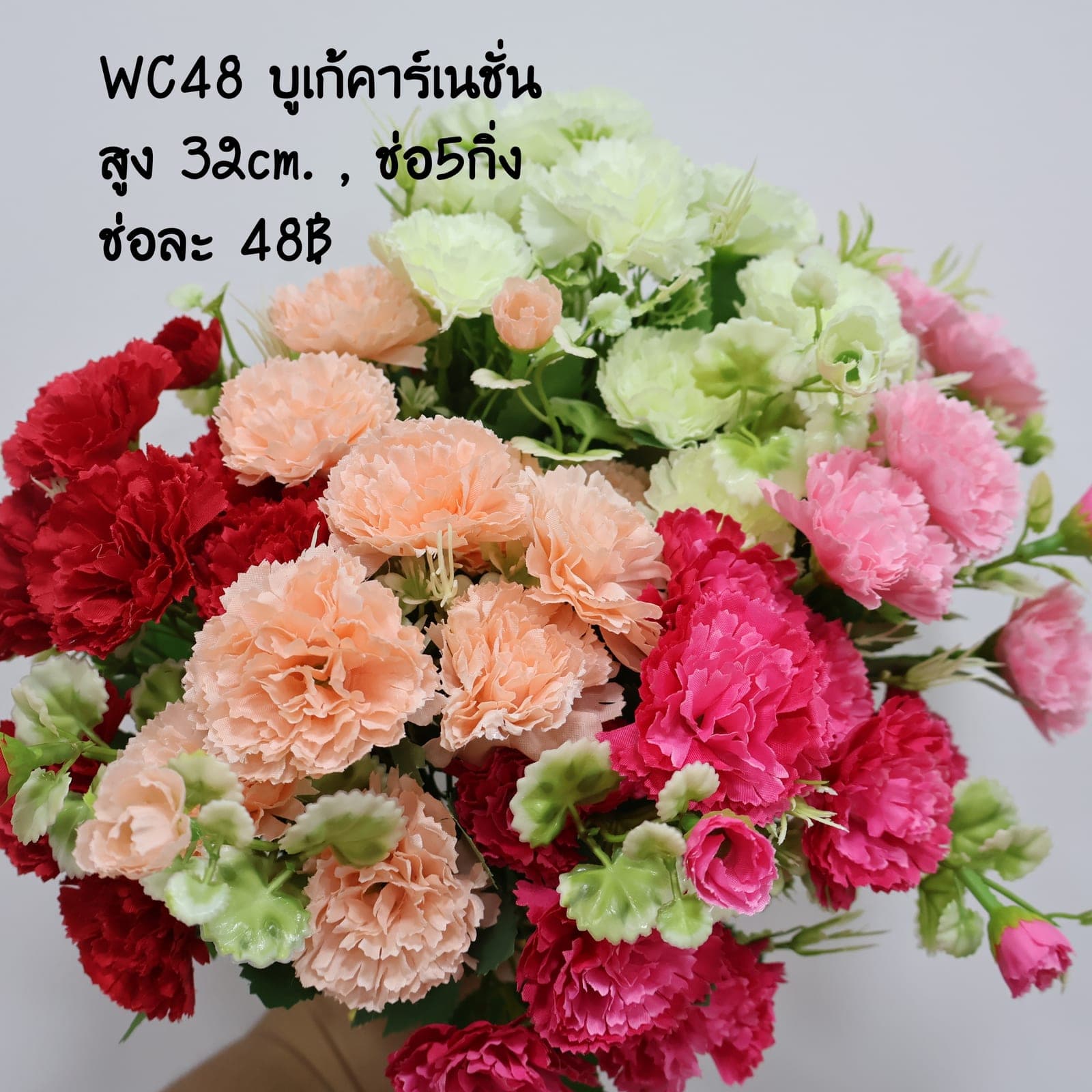 บูเก้คาร์เนชั่น (WC48)