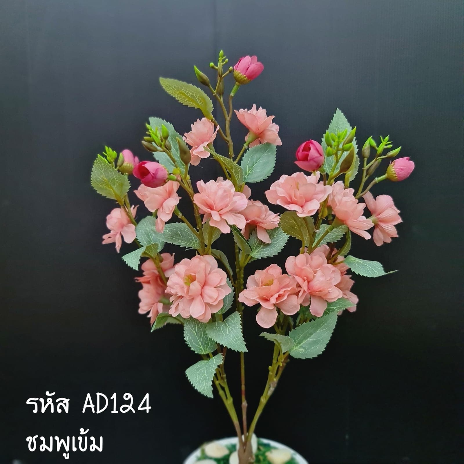 ต้นซากุระ (AD12), Cherry blossom — small blossoms scattered along an arching branch.