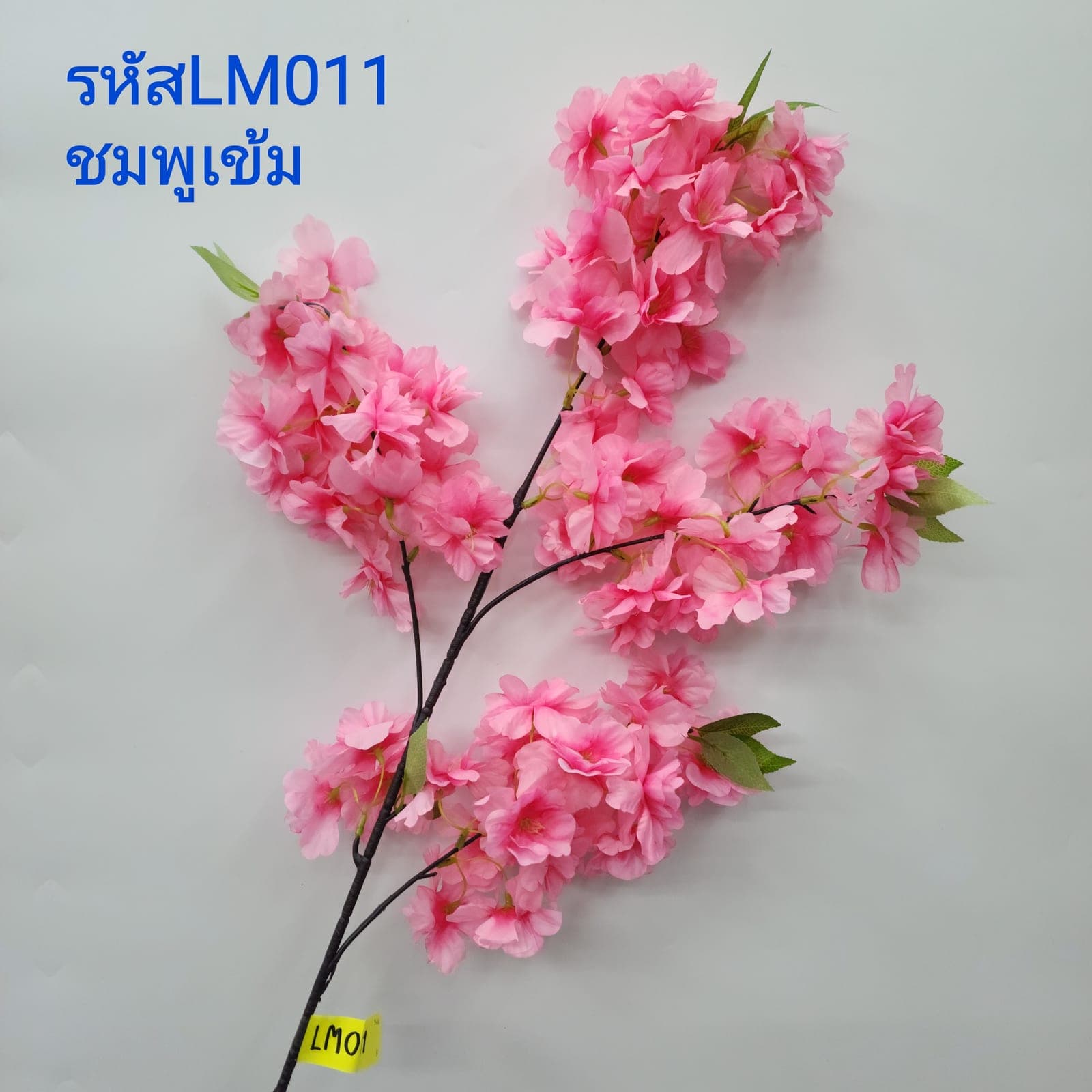 ซากุระซ่ายาว (LM01), Cherry blossom — small blossoms scattered along an arching branch.