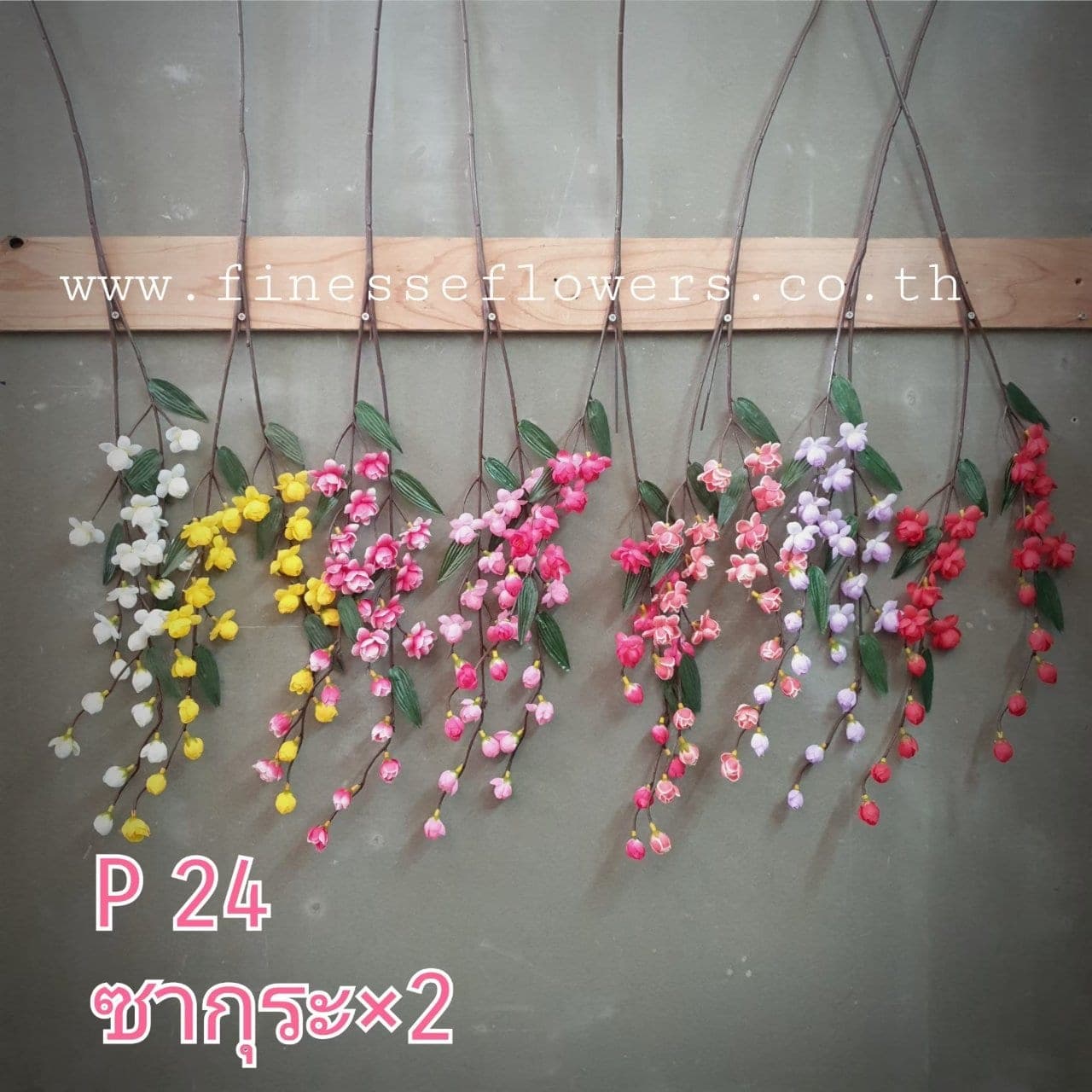 ซากุระญี่ปุ่น (P24), Cherry blossom — small blossoms scattered along an arching branch.