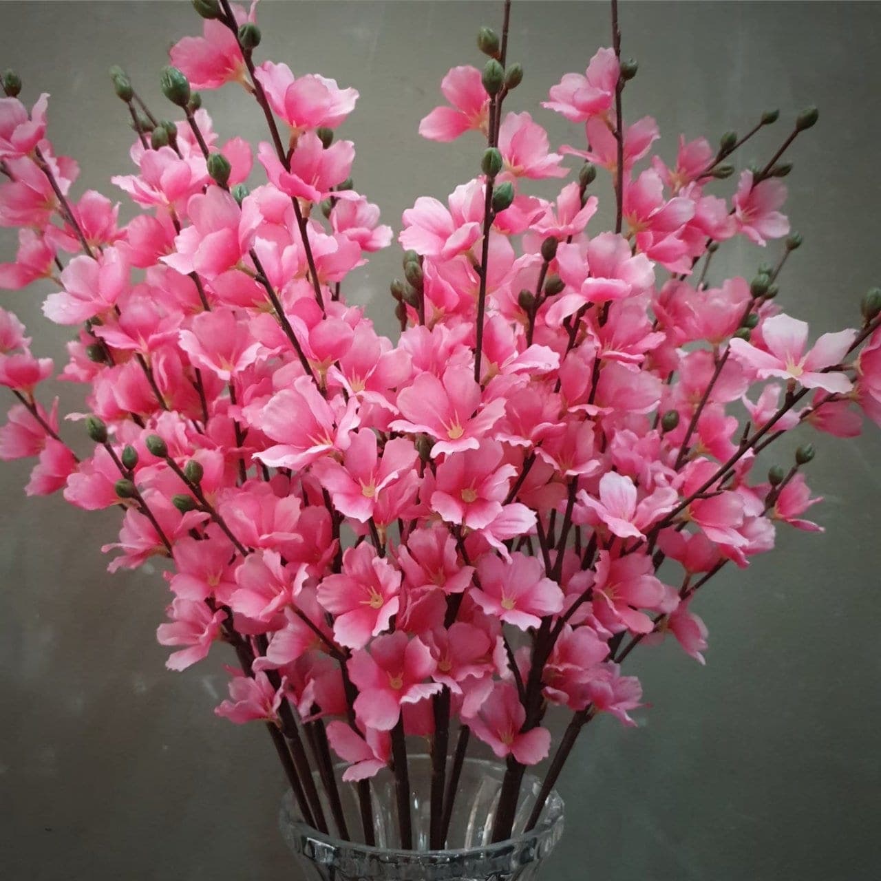 ซากุระฟูจิช่อยาว (P367), Cherry blossom — small blossoms scattered along an arching branch.