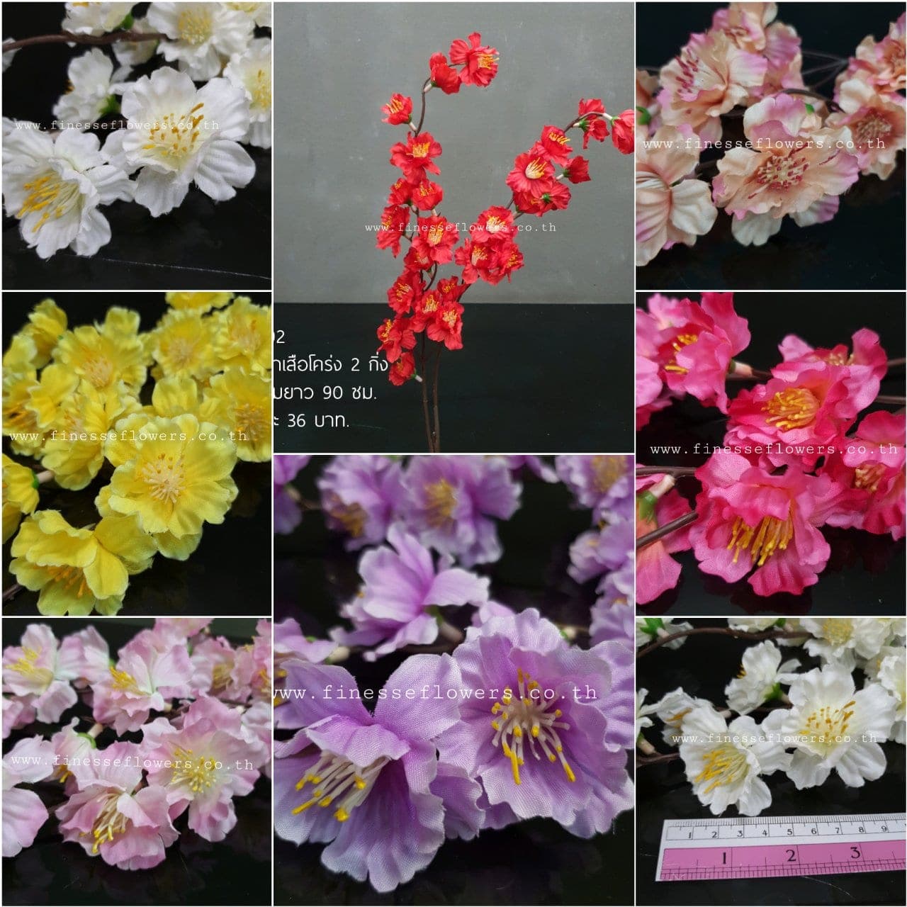 ซากุระพญาเสือโคร่ง (P392-2)
