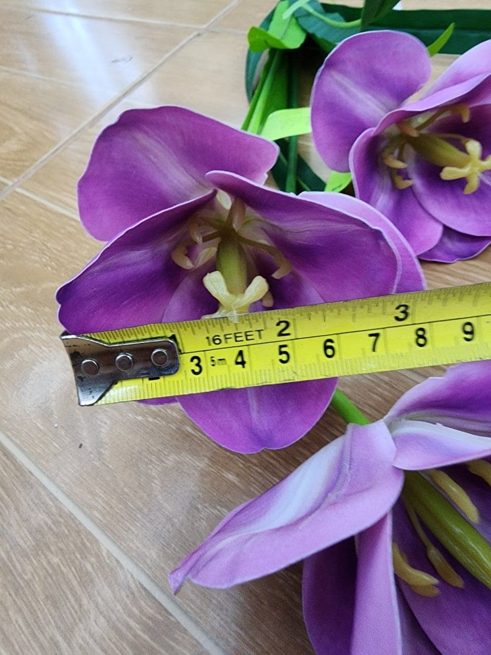 แมกโนเลีย (SH44), Magnolia — broad petals on a woody stem with sculptural weight.