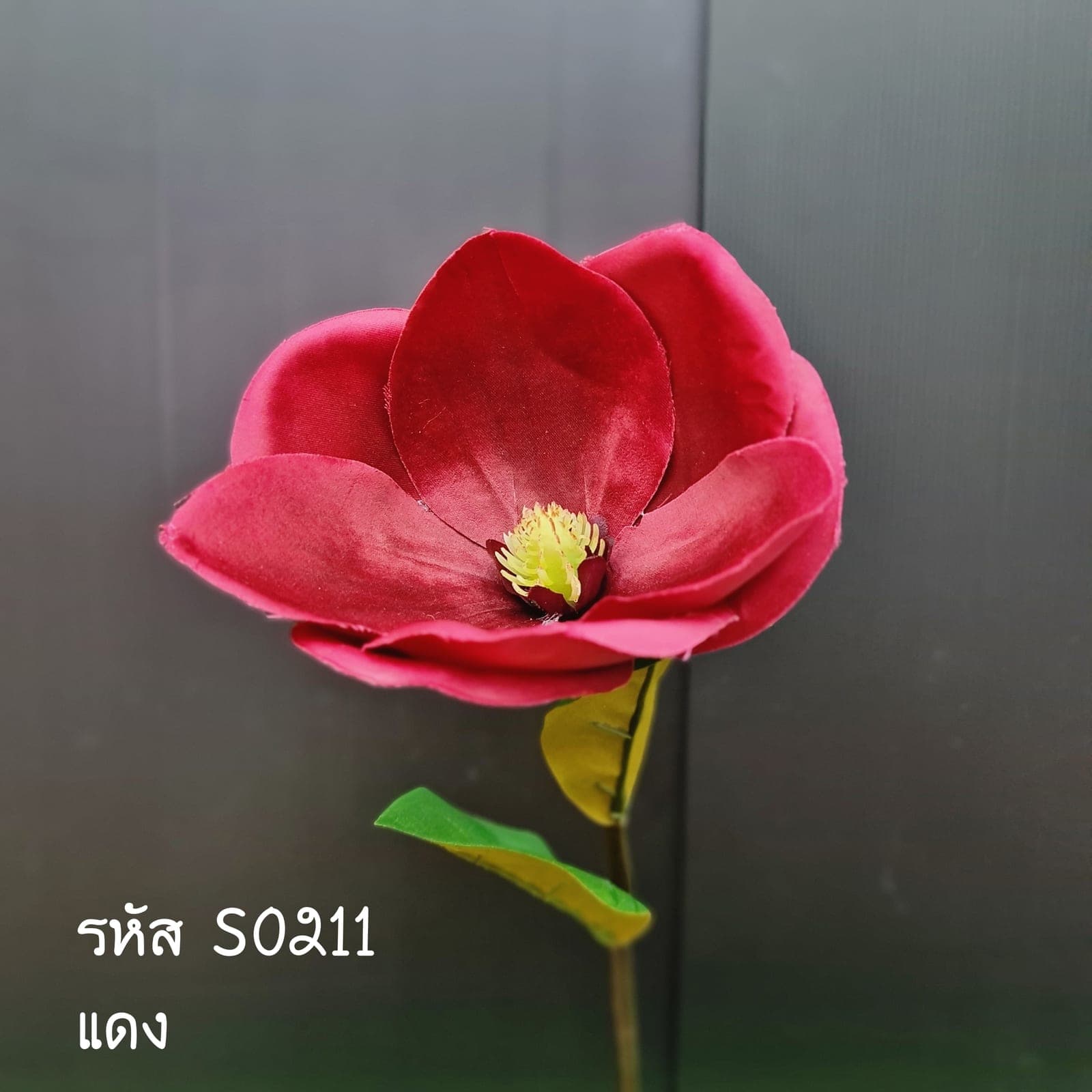 แมกโนเลีย (SO21), Magnolia — broad petals on a woody stem with sculptural weight.