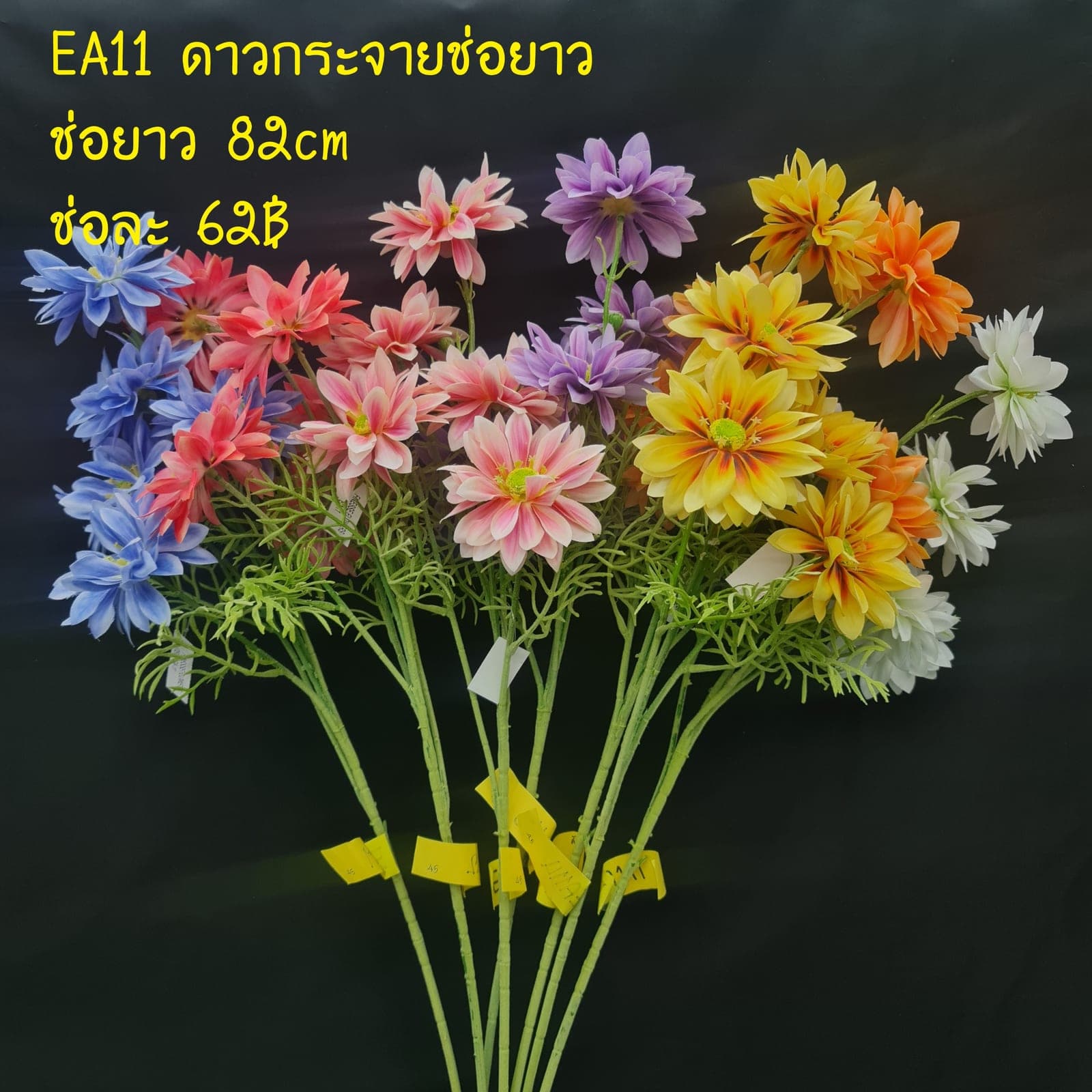 ดาวกระจายช่อยาว (EA11), Meadow flower — thin stems and tissue-soft petals with a swaying meadow feel.