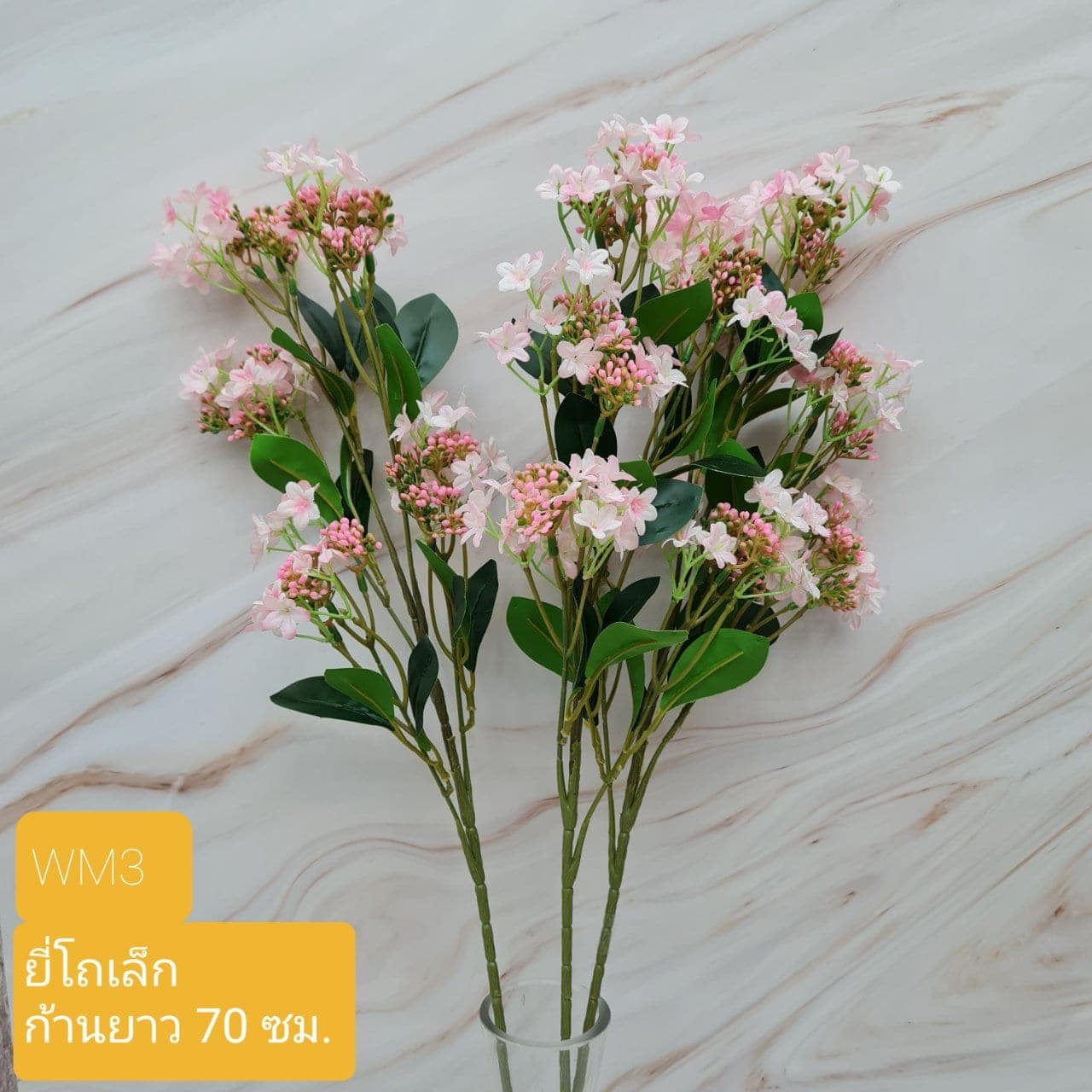 ยี่โถเล็ก (EM3), Meadow flower — thin stems and tissue-soft petals with a swaying meadow feel.