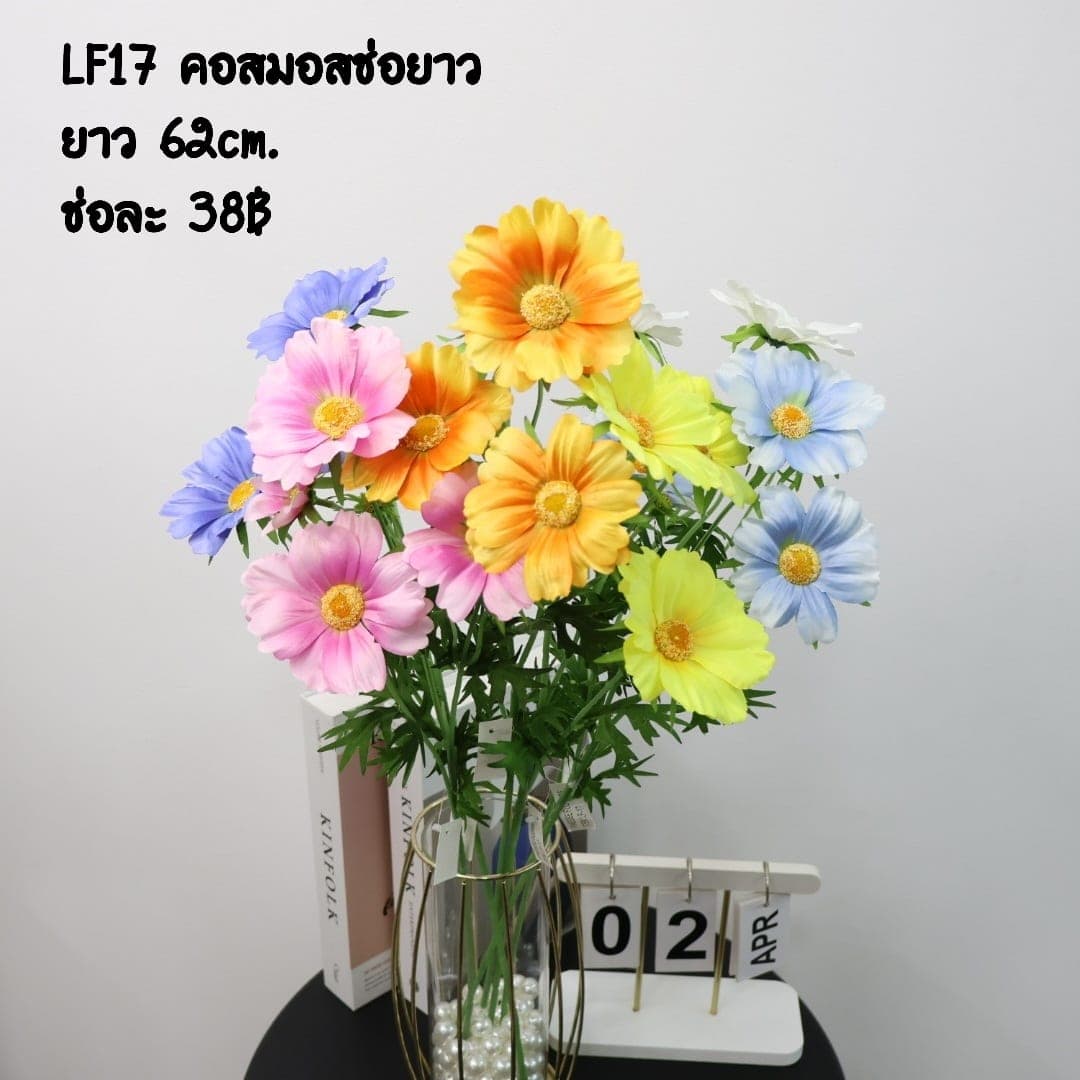 คอสมอสช่อยาว (LF17), Cosmos — feather-thin petals on a tall, swaying stem with a meadow mood.