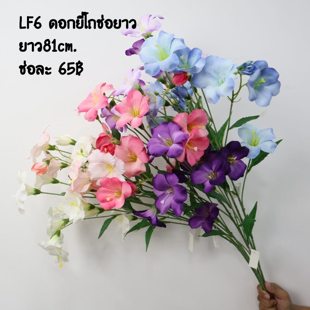 ช่อดอกยี่โถ (LF6), A spray of meadow flower — thin stems and tissue-soft petals with a swaying meadow feel.