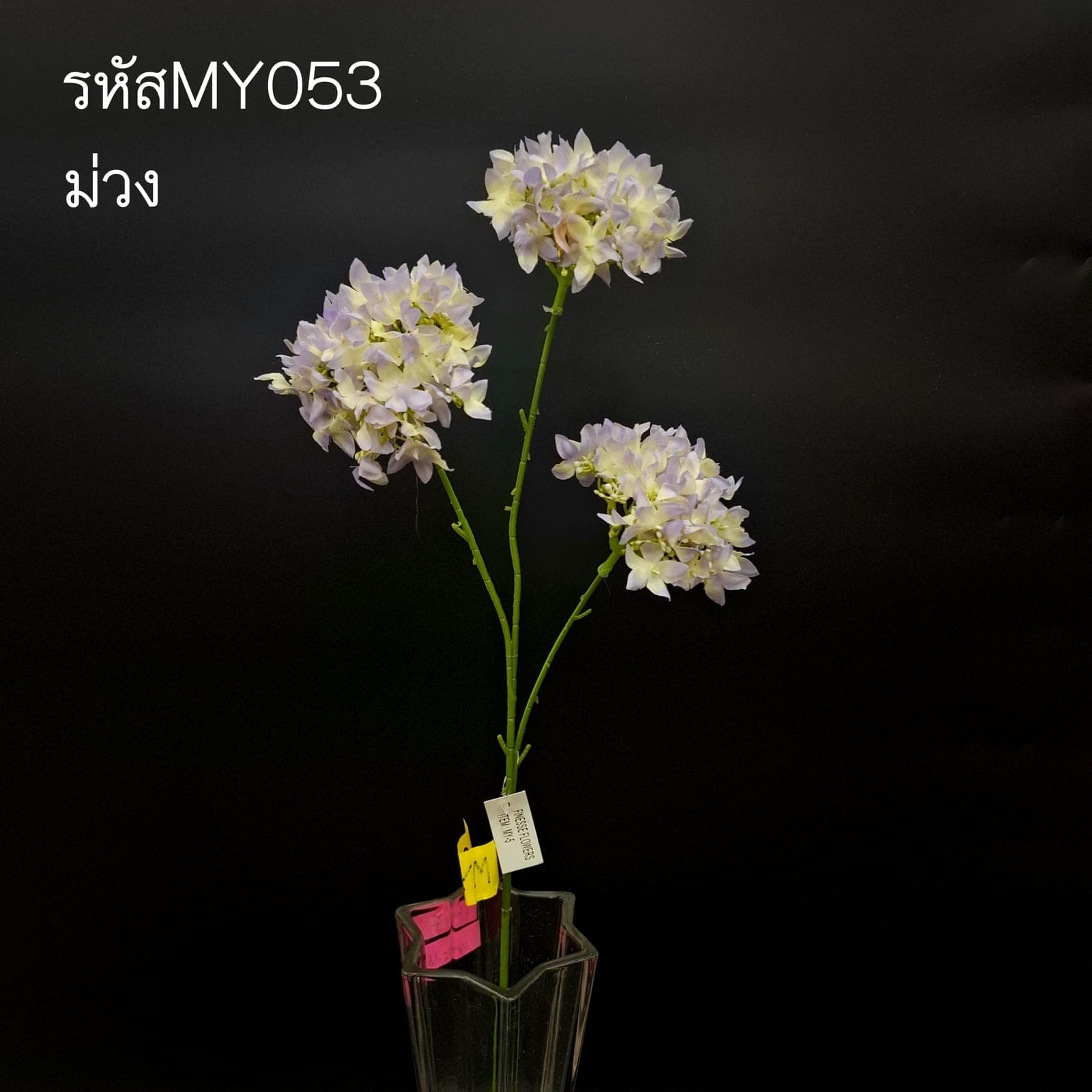 ไลแลค (MY05), Lilac — dense clusters of small florets reading like cloud volume in the mix.