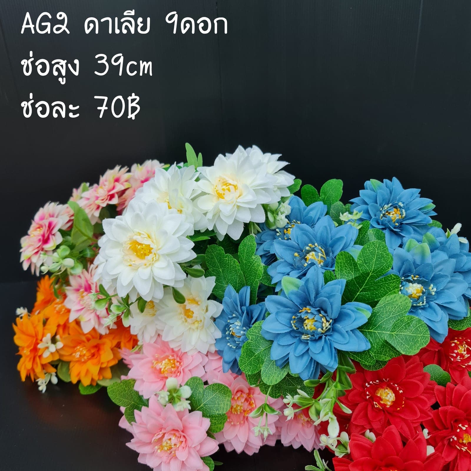 ดาเลีย 7ดอก (AG2), Dahlia (7 blooms) — petals spiralled into a near-geometric symmetry.