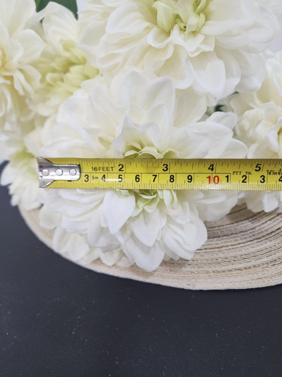 ดาเลีย (NH3), Dahlia — a full, perfectly round head with colour shifting through the layers.