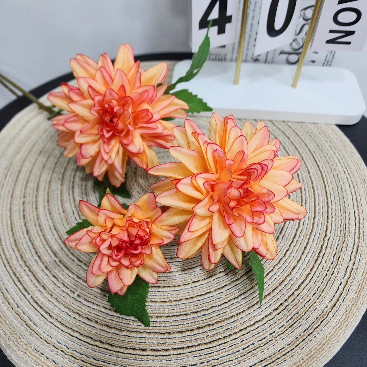 ดาเลีย (PG3), Dahlia — petals spiralled into a near-geometric symmetry.