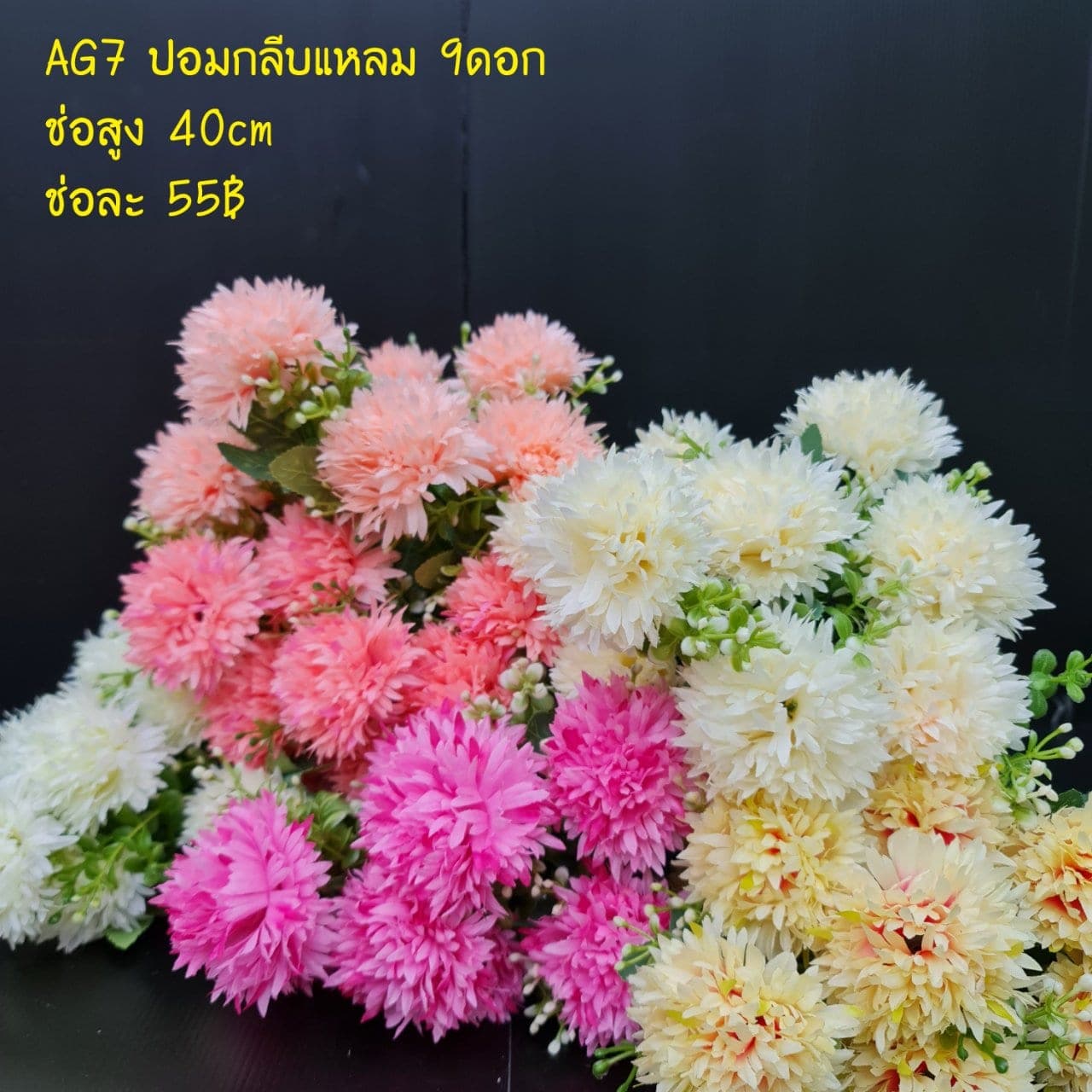 ปอมกลีบแหลม (AG7), Daisy — a friendly, small-headed bloom that lightens the rhythm of a spray.
