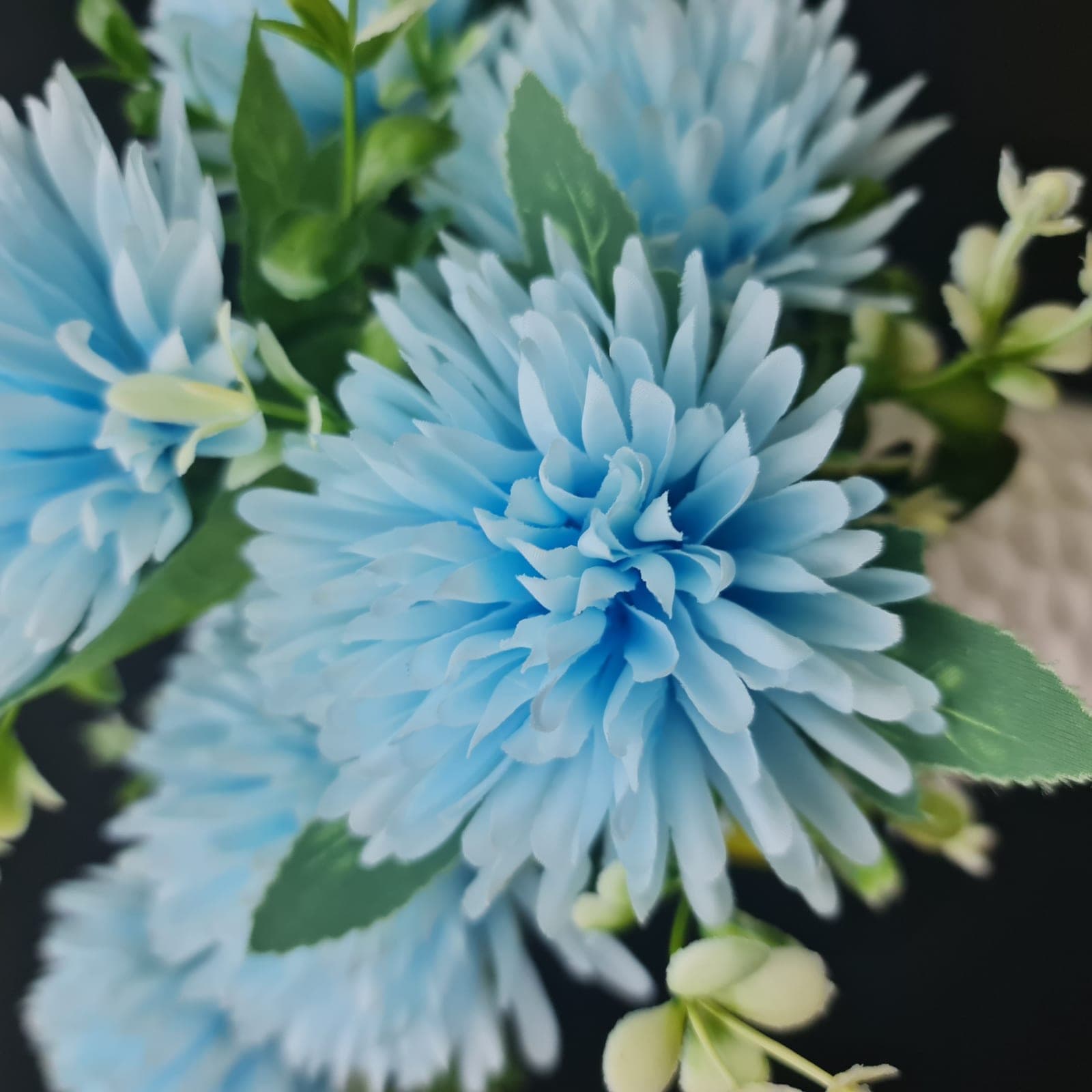 มัม7ดอก (AG8), Daisy (7 blooms) — a friendly, small-headed bloom that lightens the rhythm of a spray.