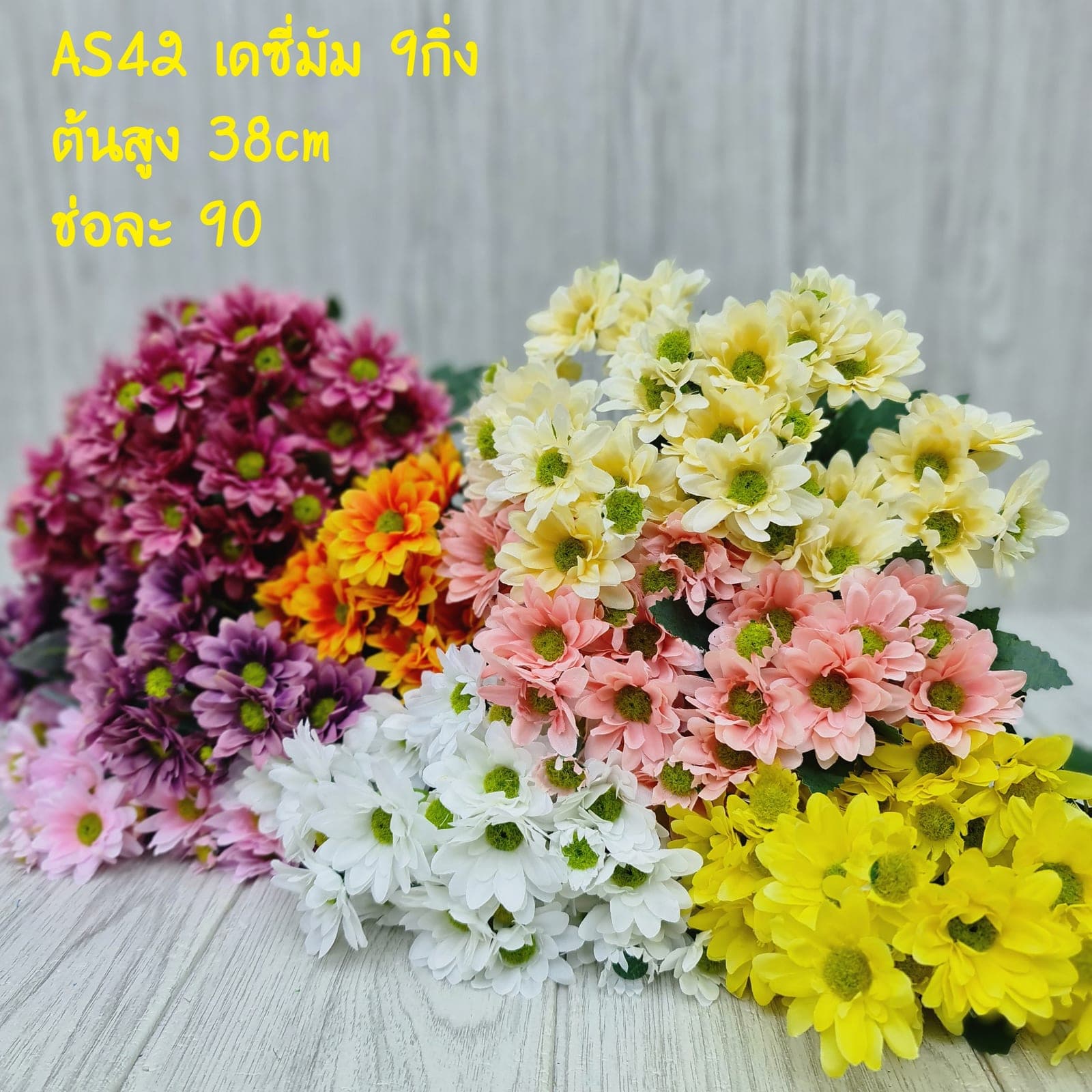 เดซี่มัม (AS42), Daisy — fine white petals around a yellow eye for an unfussy, friendly bloom.