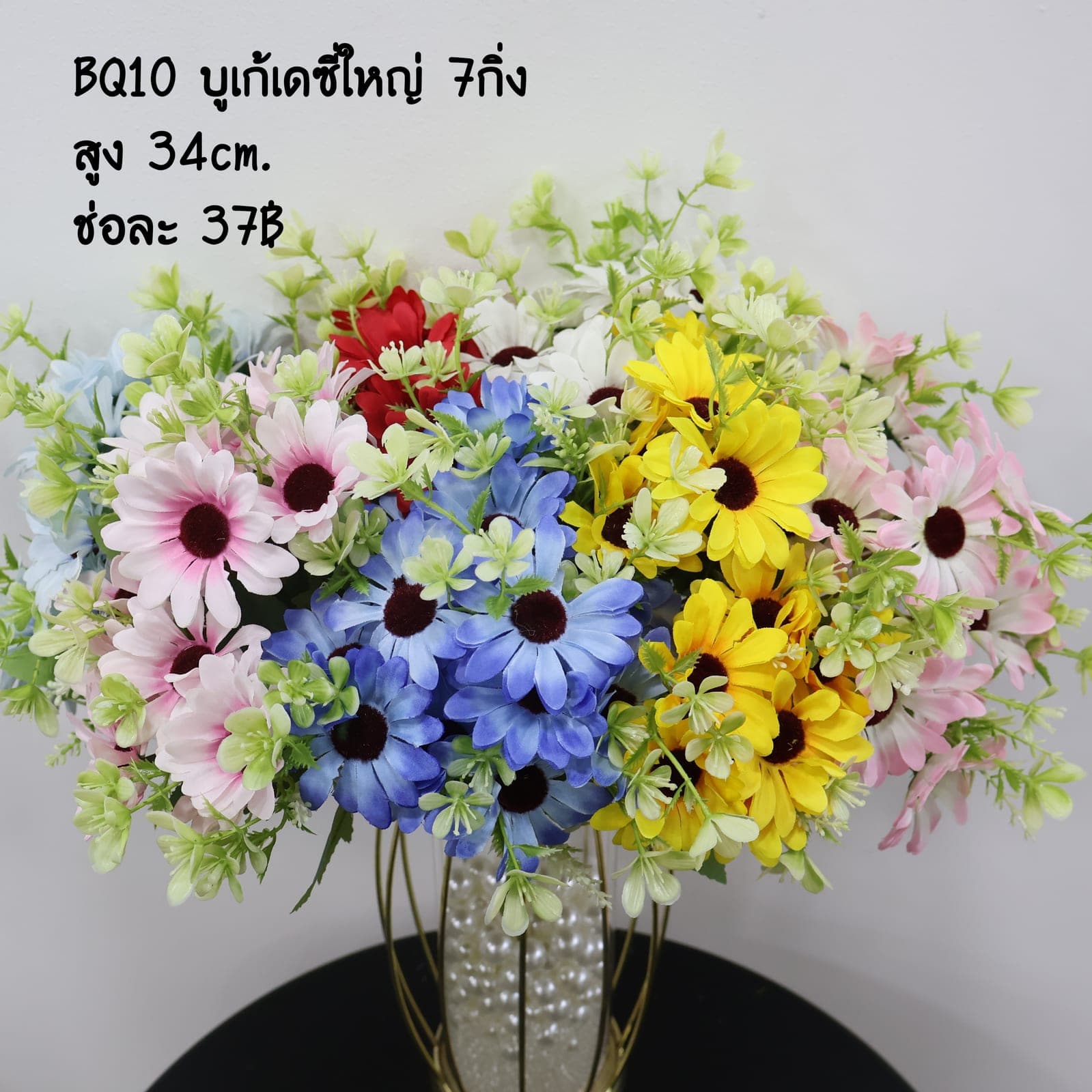 บูเก้เดซี่ใหญ่ (BQ10)