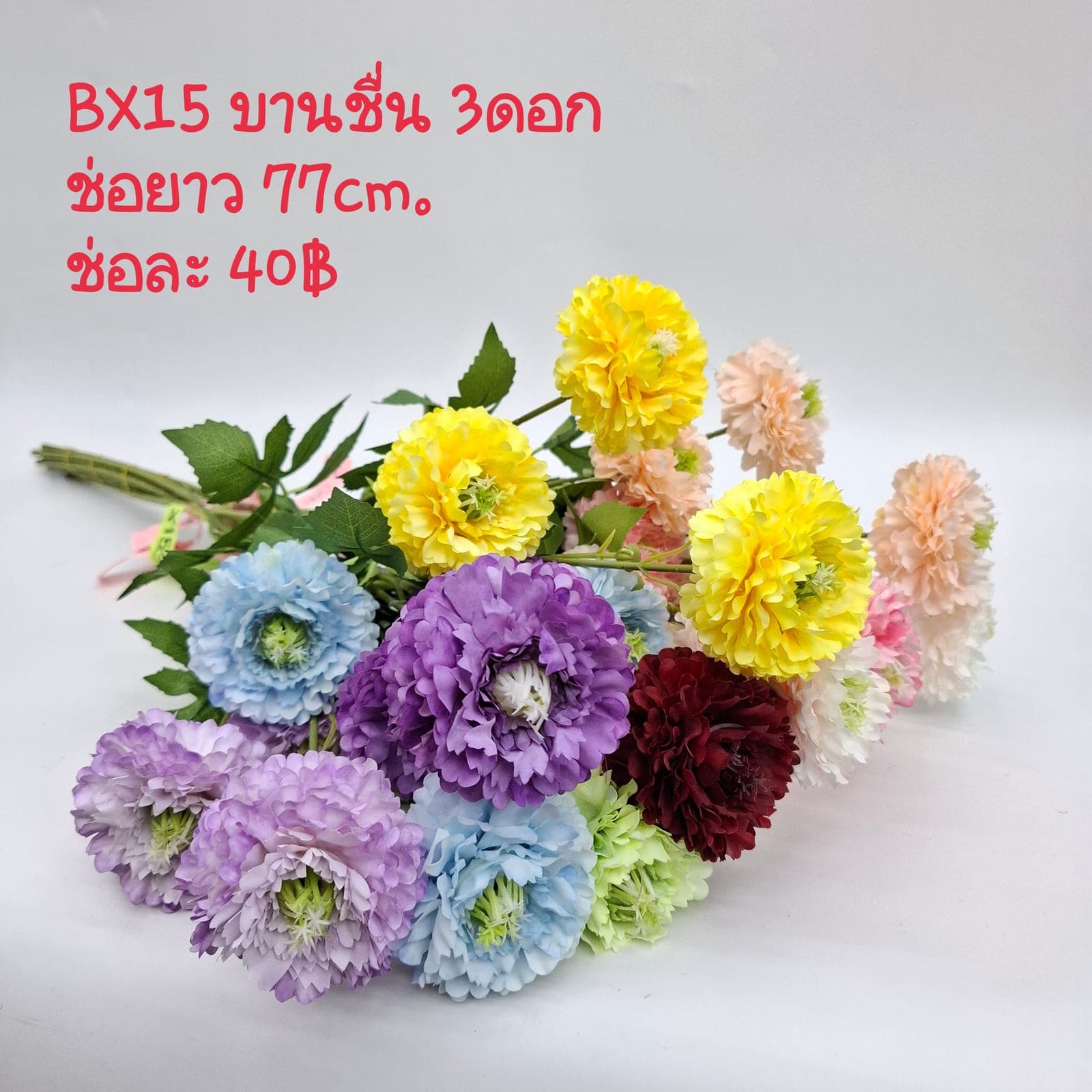 บานชื่น3ดอกช่อยาว (BX15), Daisy — a friendly, small-headed bloom that lightens the rhythm of a spray.