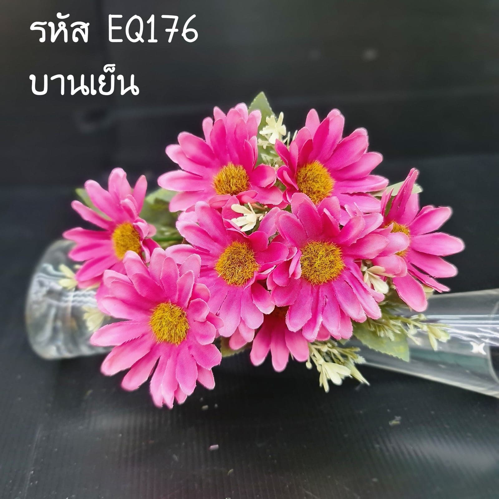 เดซี่ใหญ่ 5กิ่ง (EQ17), Daisy (5 branches) — fine white petals around a yellow eye for an unfussy, friendly bloom.