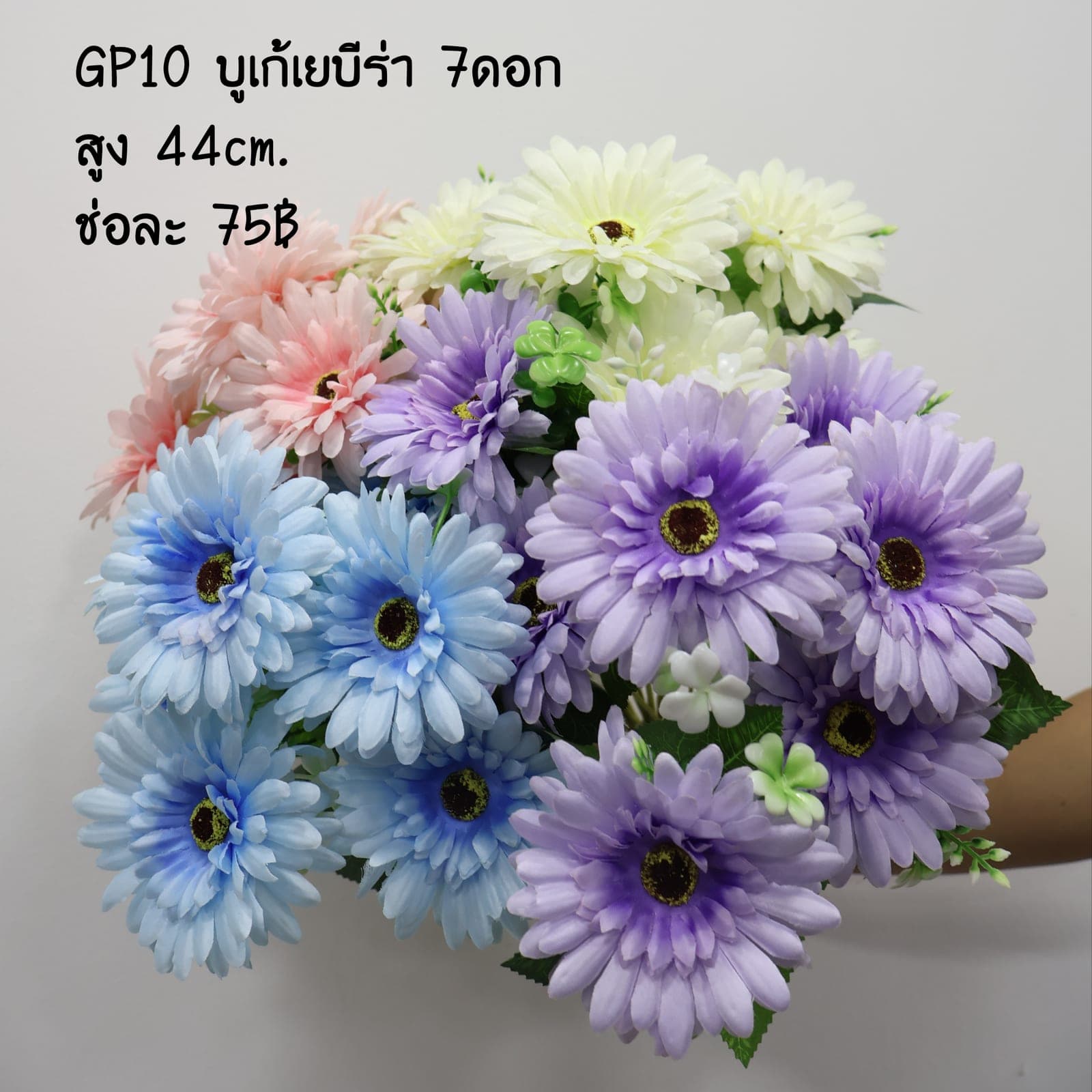 บูเก้เยบีร่า (GP10)