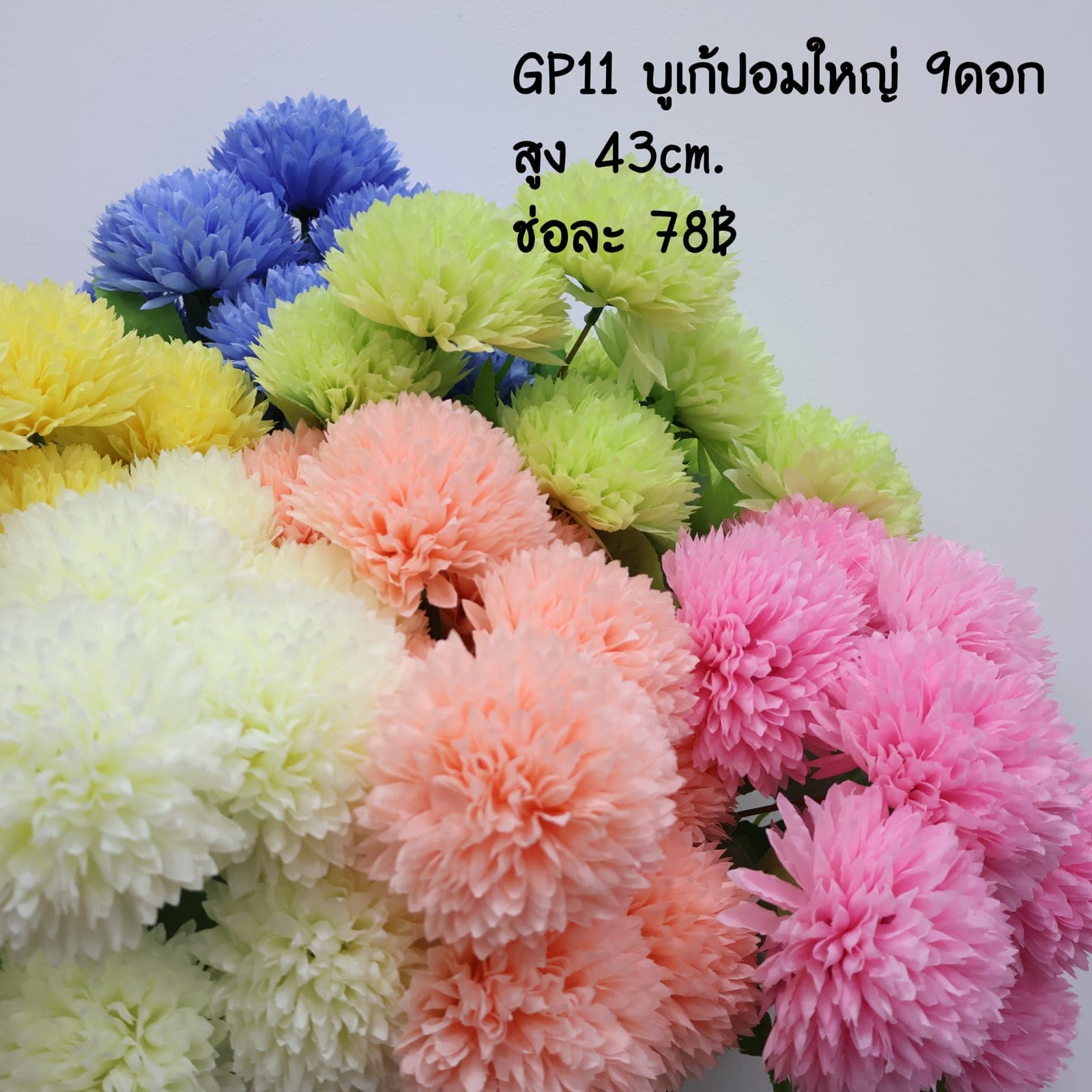 บูเก้ปอมใหญ่ 9ดอก (GP11)