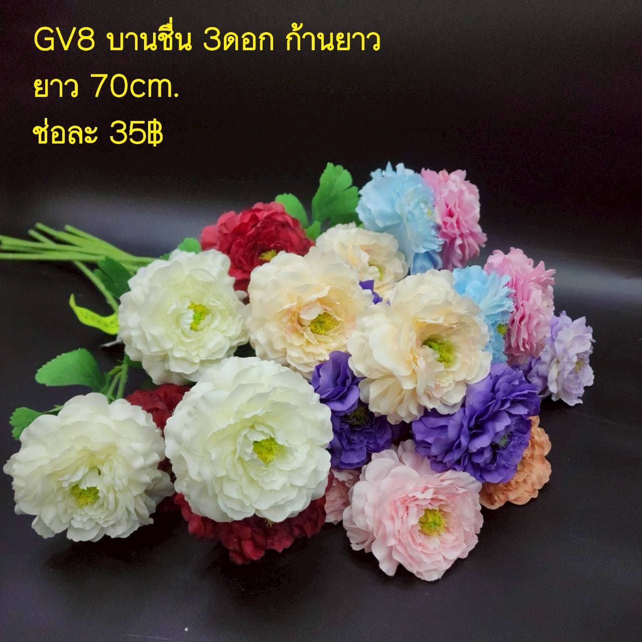 บานชื่น 3ดอกช่อยาว (GV08), Daisy — a friendly, small-headed bloom that lightens the rhythm of a spray.