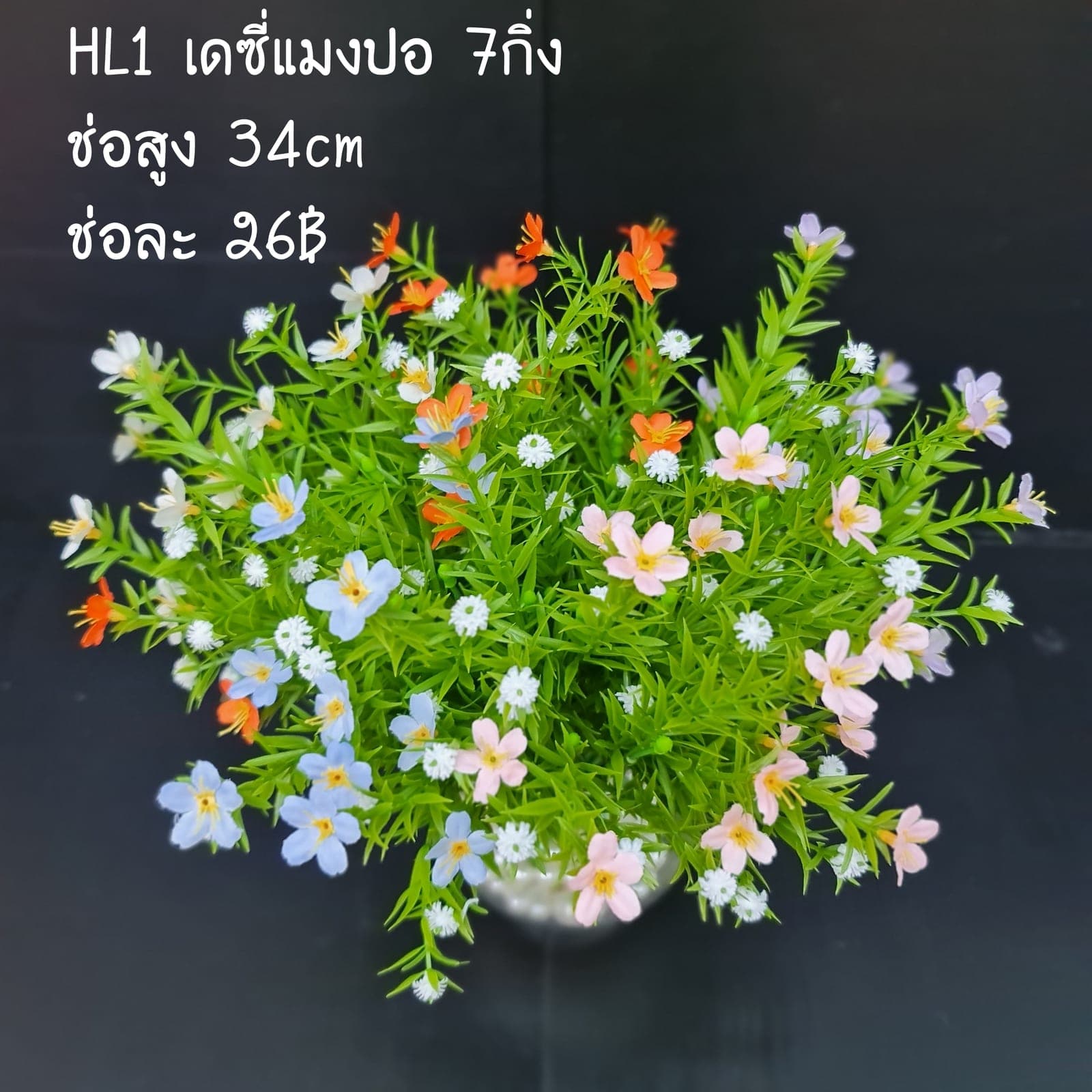เดซี่แมงปอ (HL1), Daisy — a simple head that lightens the rhythm of a larger composition.