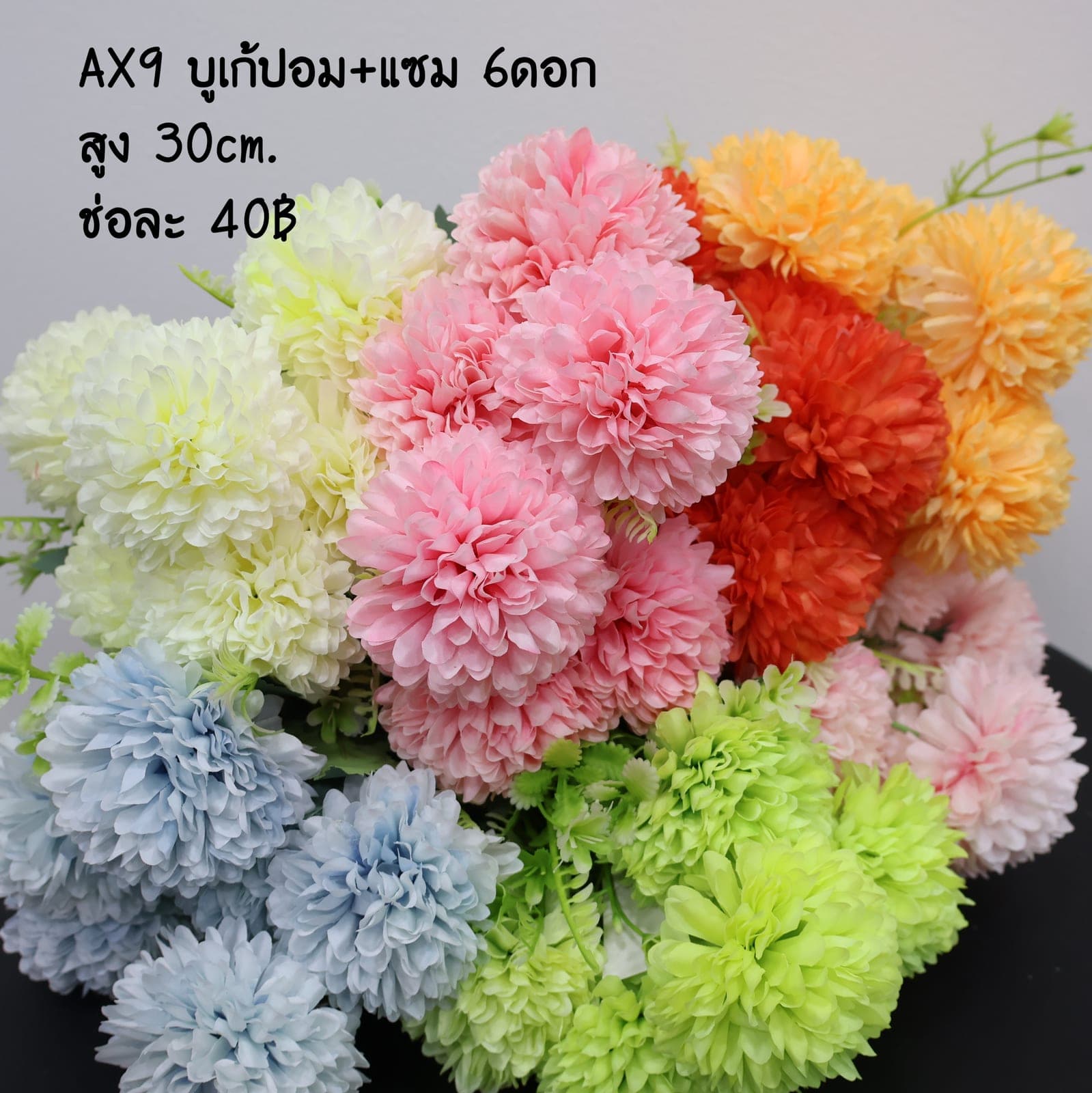 บูเก้ปอม+แซม (AX09)