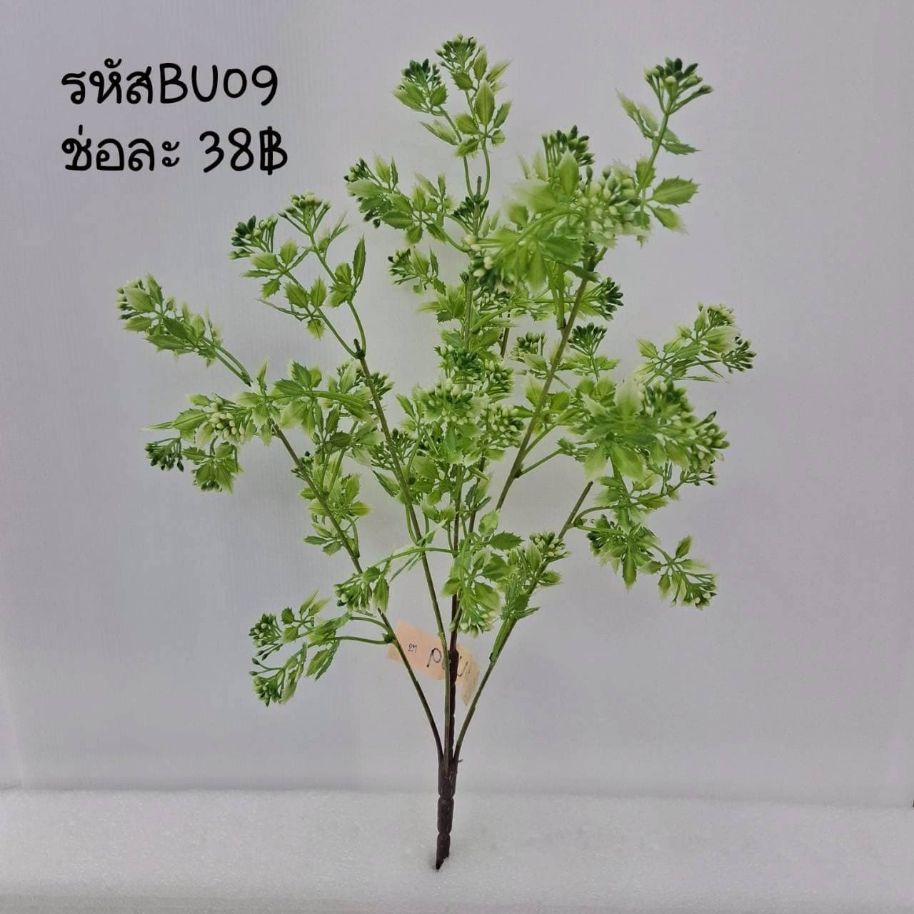 บูเก้แซม (BU09), A bouquet of filler accent — a connective filler that gives a bouquet drape and air.