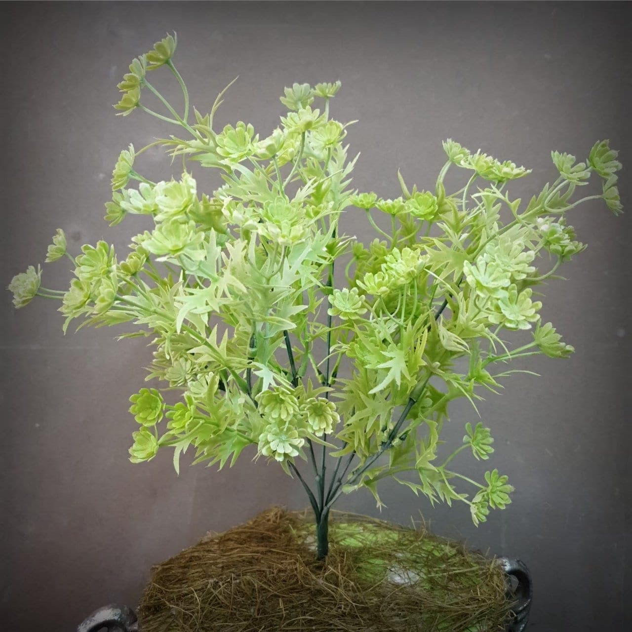บูเก้แซม (BY05), A bouquet of filler accent — a connective filler that gives a bouquet drape and air.