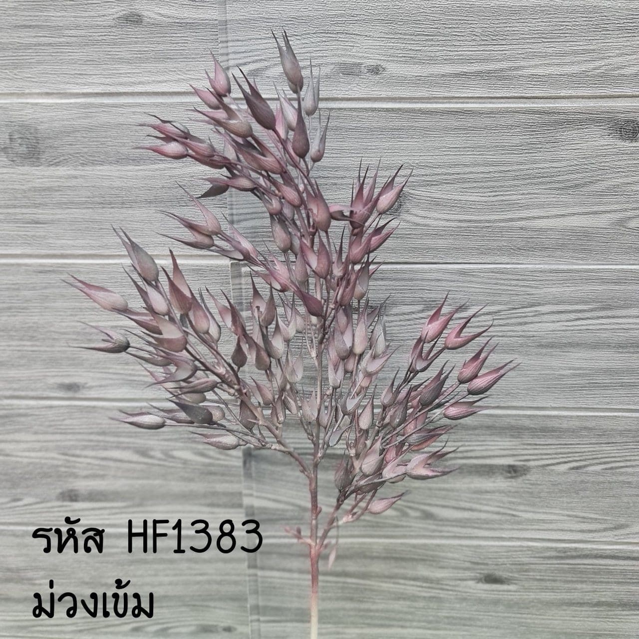 แซมช่อยาว (HF138), Filler accent — a connective filler that gives a bouquet drape and air.