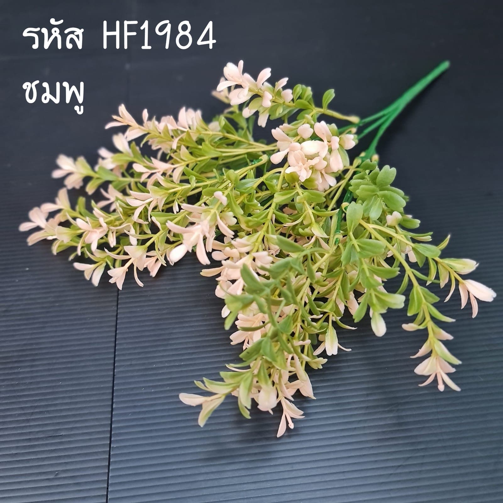 แซมใบแฟนซี (HF198), Filler accent — a connective filler that gives a bouquet drape and air.