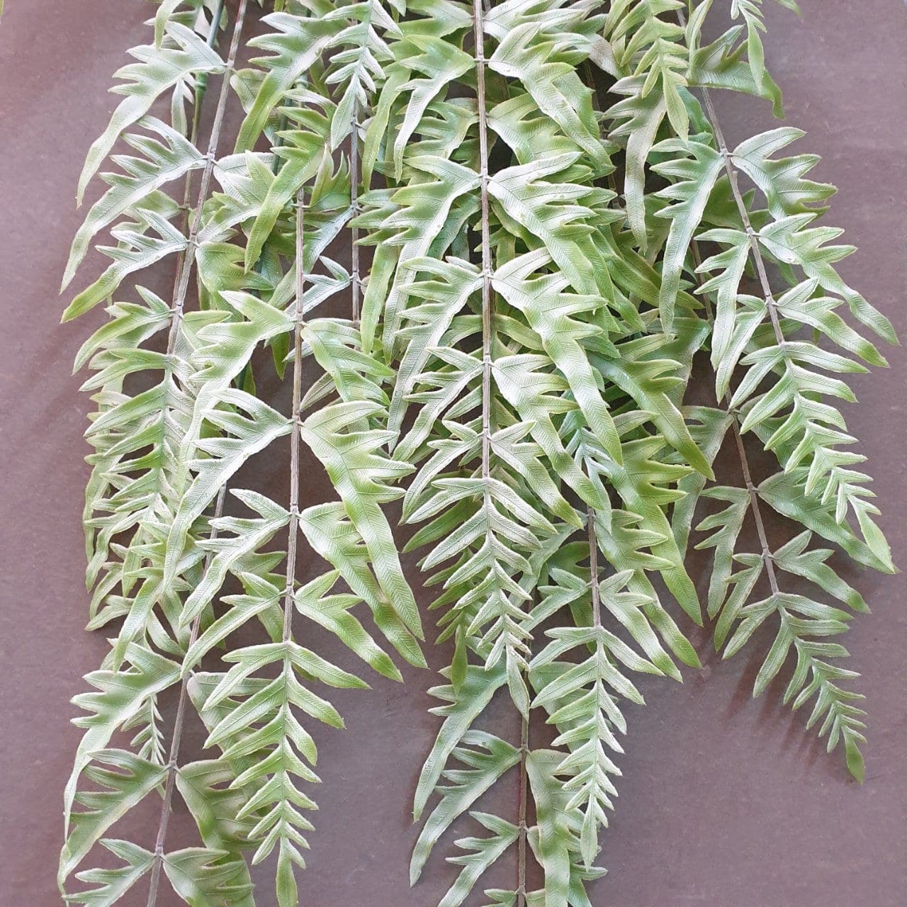ช่อแขวน (BK25), A spray of hanging cascade — long stems falling with flowers and leaves to give vertical rhythm.