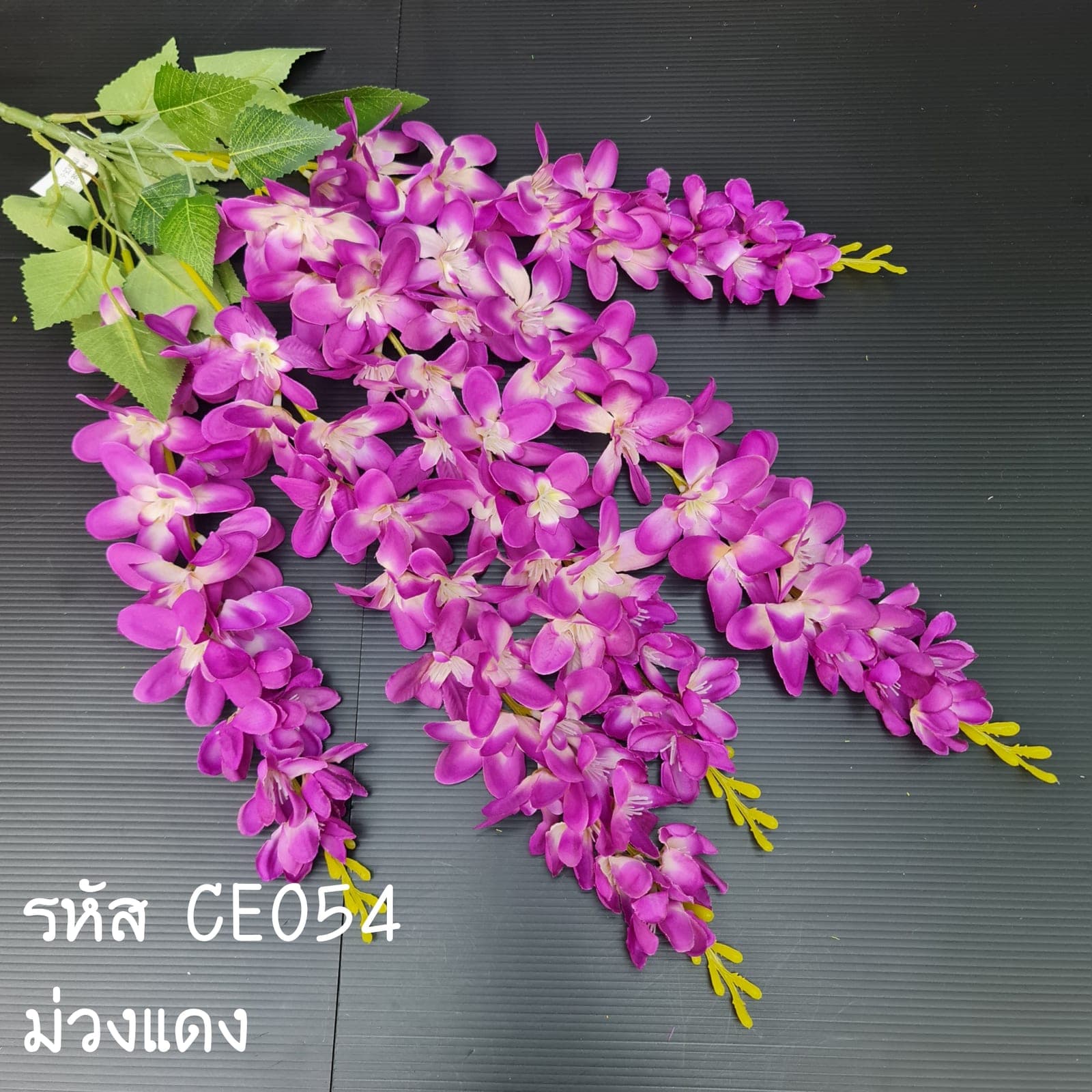 ระย้าพุดจีบ (CE5-2)