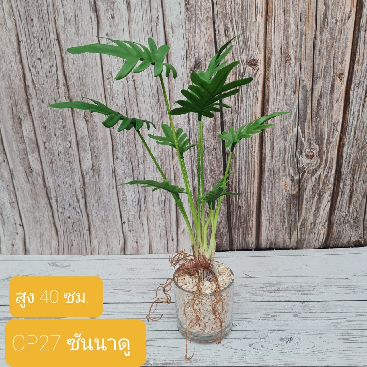 ซันนาดู (CP27), Hanging floral — a downward cascade of flowers that draws a vertical line.