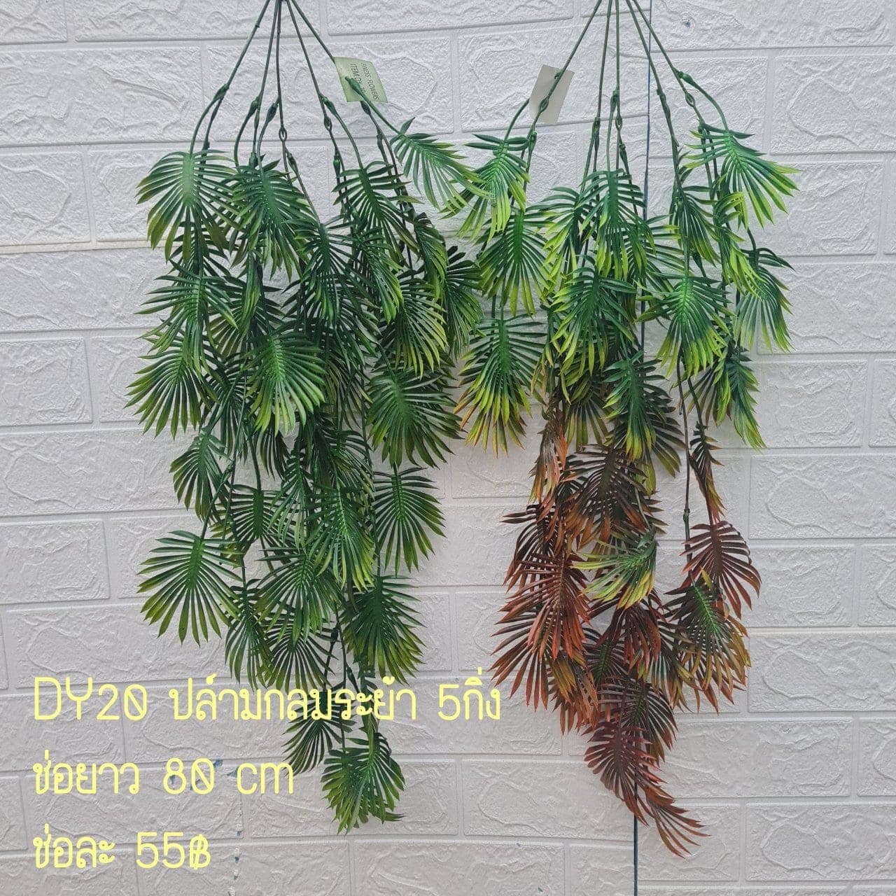 ปล์ามกลมระย้า (DY20), Hanging cascade — a curtain-like cascade that adds vertical depth to a room.
