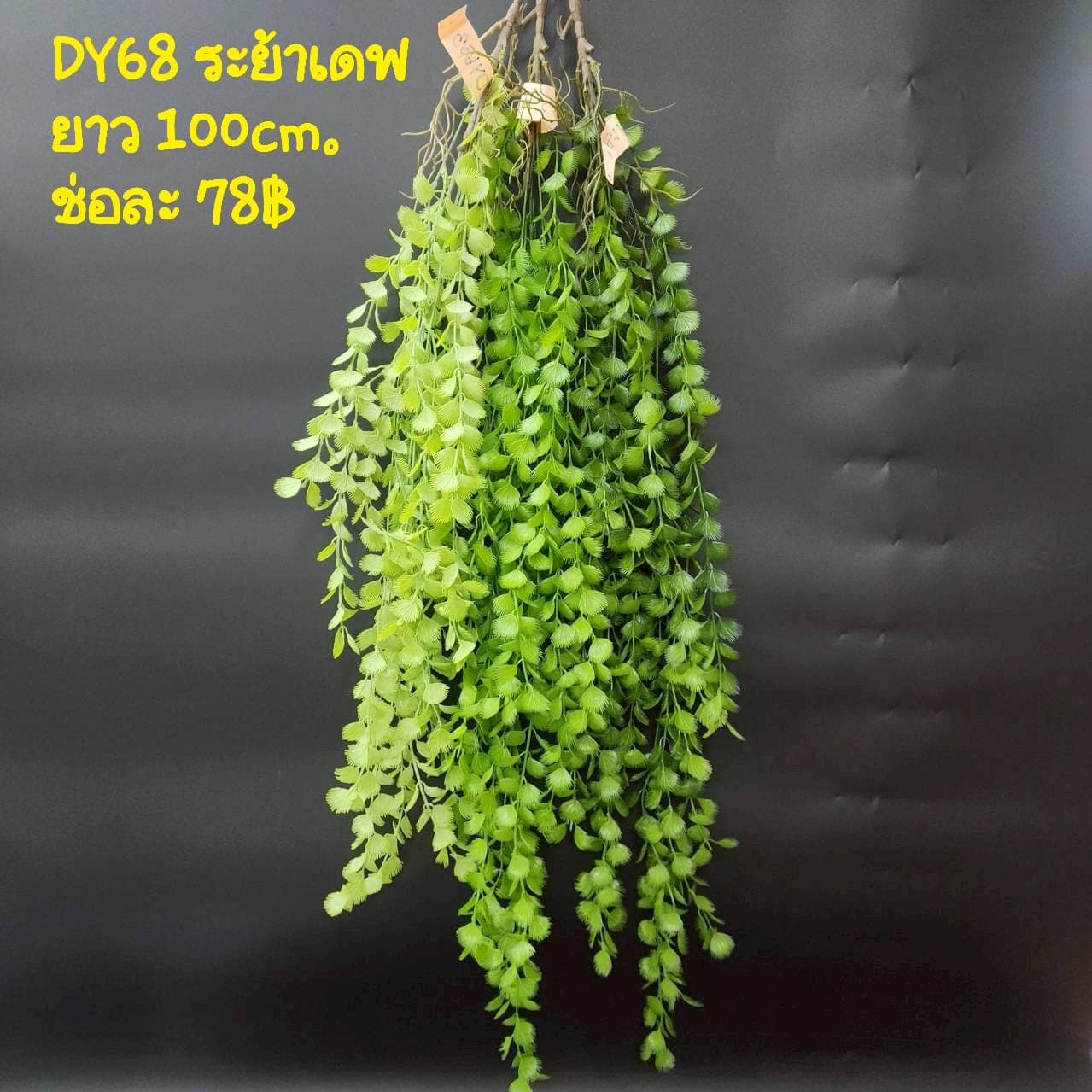 ระย้าเดฟ (DY68), Hanging cascade — a curtain-like cascade that adds vertical depth to a room.