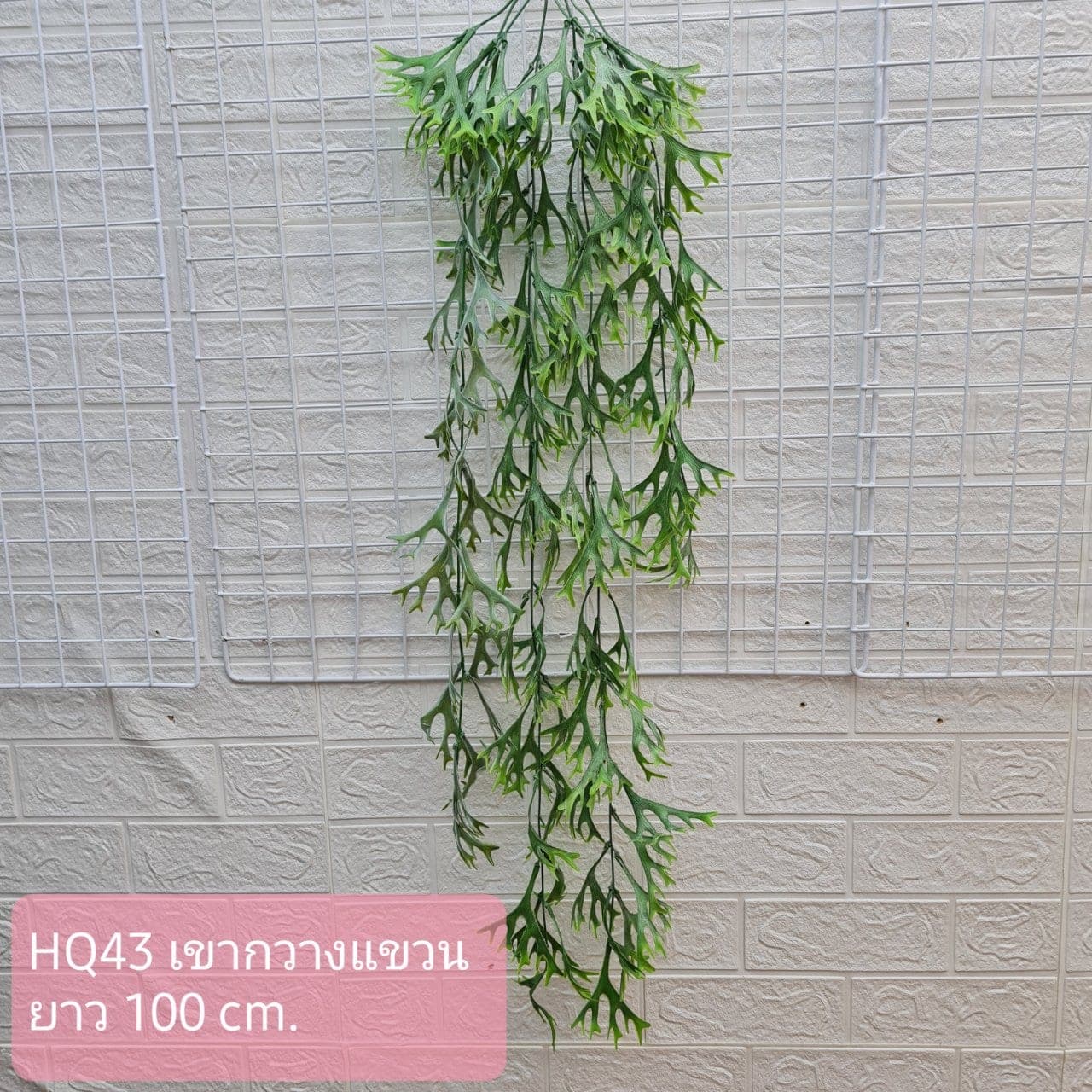 เขากวางแขวน (HQ43), Hanging cascade — long stems falling with flowers and leaves to give vertical rhythm.