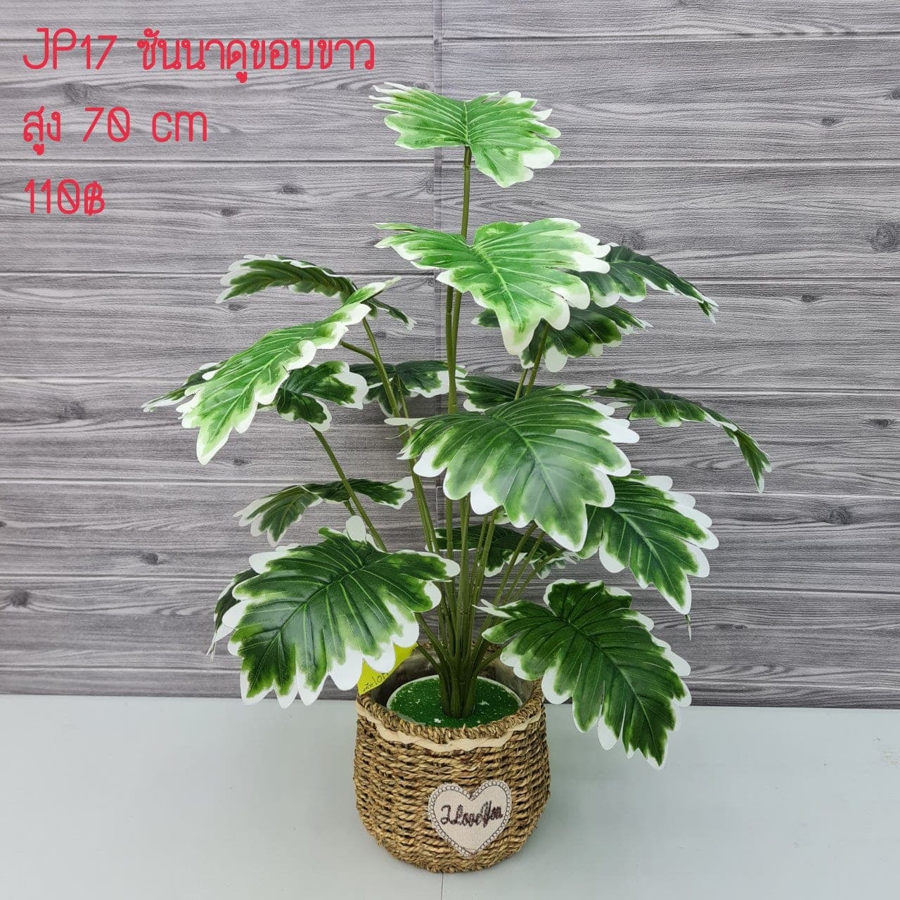 ซันนาดูขอบขาว (JP17), Hanging floral — a downward cascade of flowers that draws a vertical line.