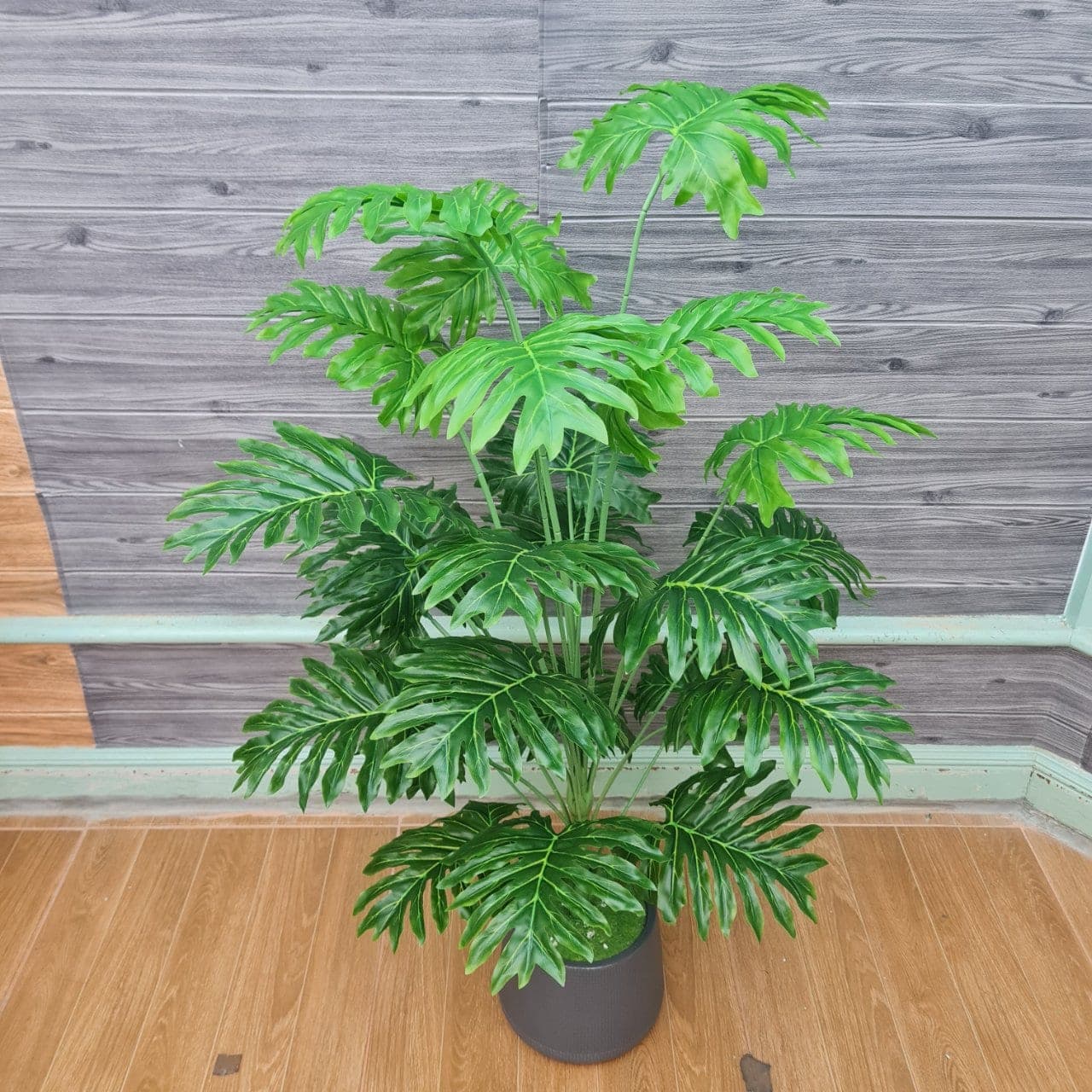 ซันนาดู 24ใบ (AQ33), Foliage (24 leaves) — green foliage that balances mass and grounds the focal flowers.