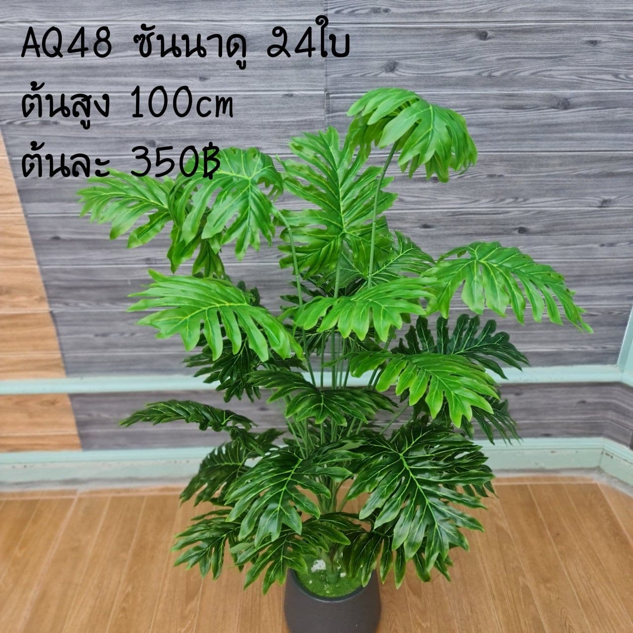 ซันนาดู 24ใบ (AQ48), Foliage (24 leaves) — green foliage that balances mass and grounds the focal flowers.
