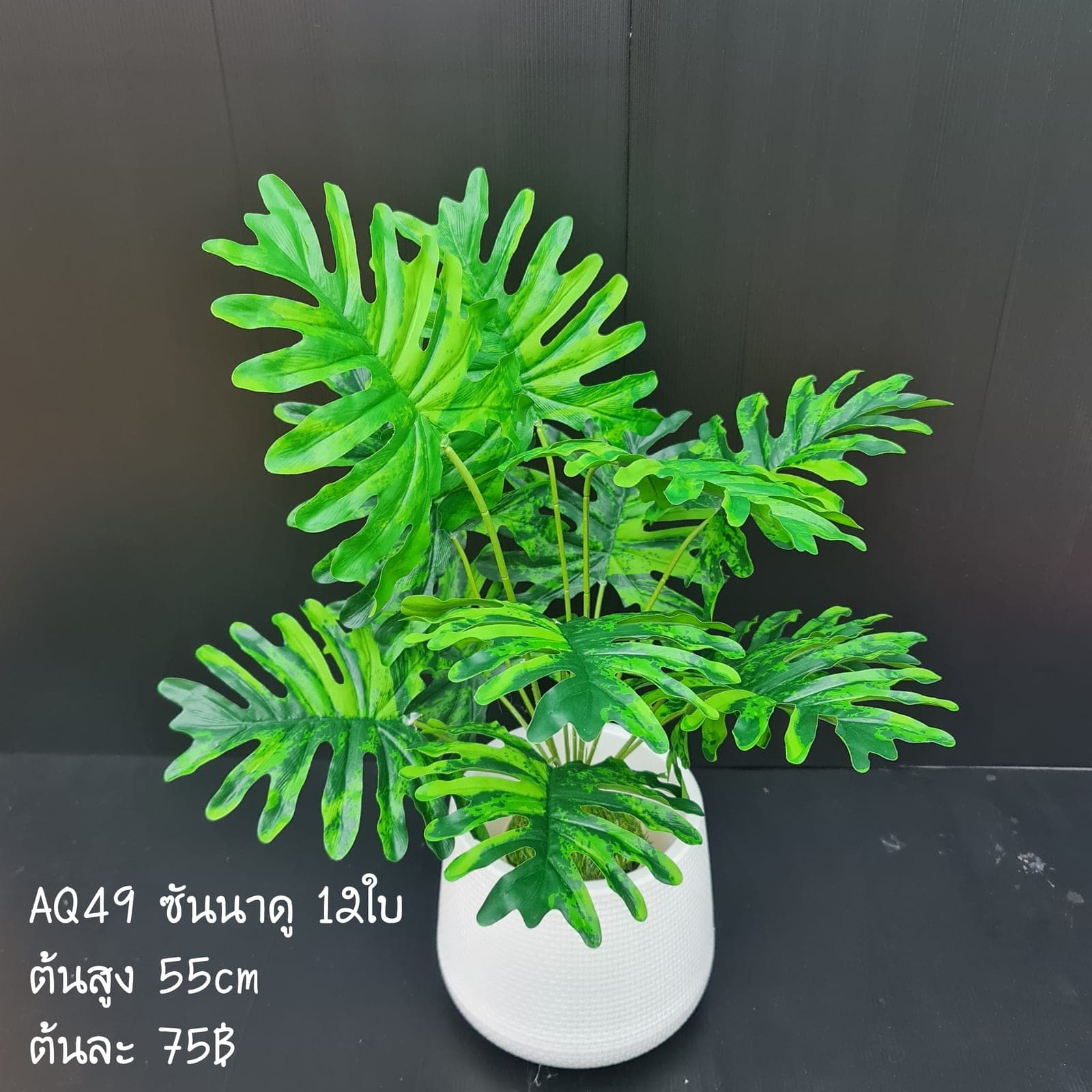 ซันนาดู 12ใบ (AQ49), Foliage (12 leaves) — leaf material that lends weight and texture along the rim of a vessel.