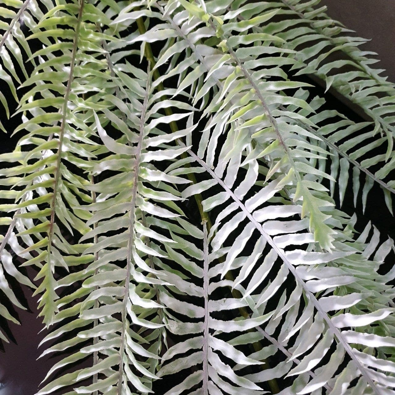 บูเก้ใบแขวน (CP 12), A bouquet of hanging cascade — long stems falling with flowers and leaves to give vertical rhythm.