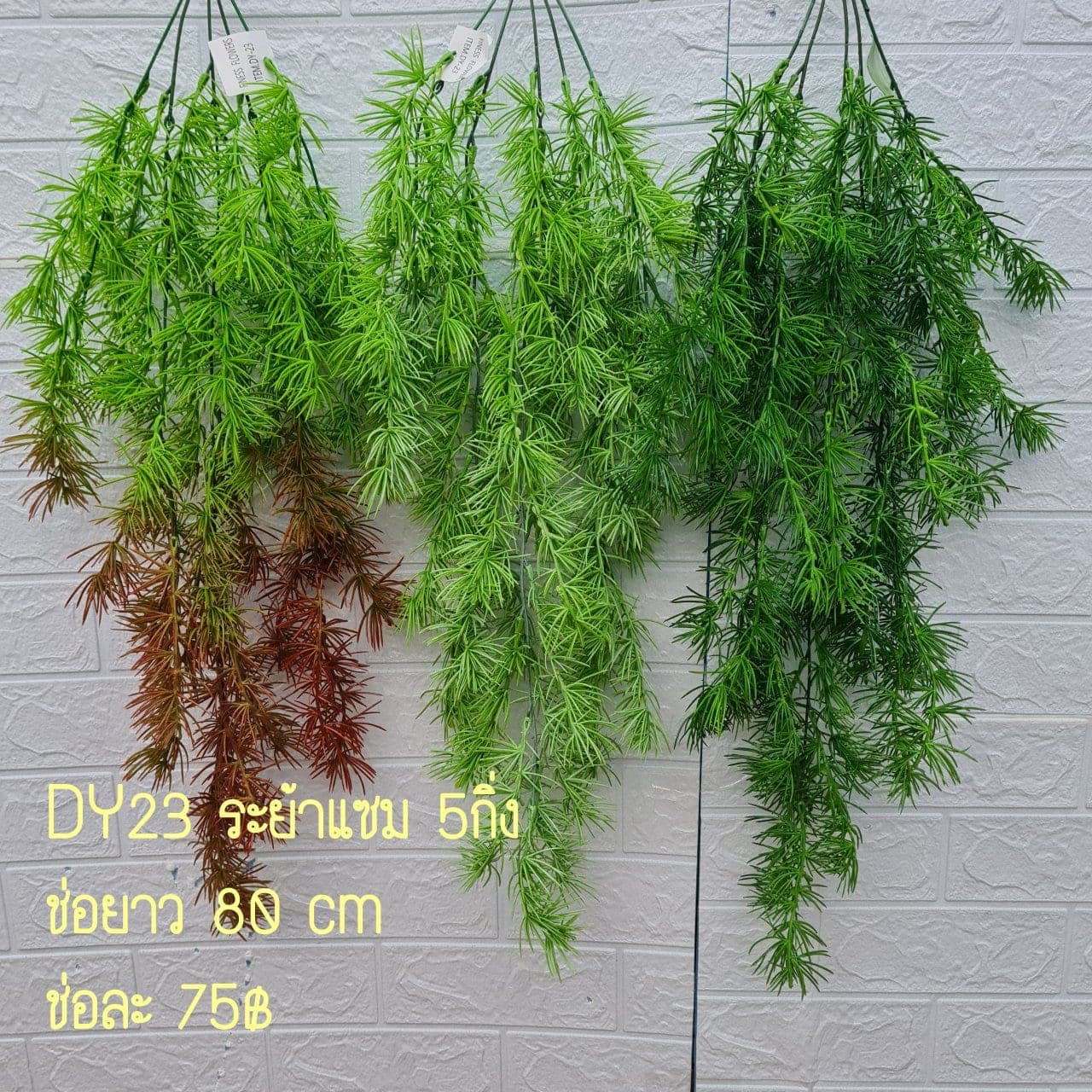 ระย้าใบแซม (DY23), Hanging cascade — long stems falling with flowers and leaves to give vertical rhythm.