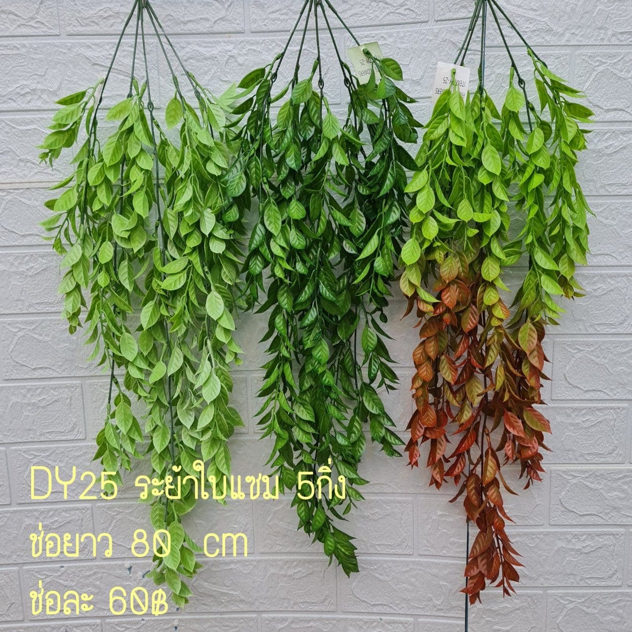 ระย้าใบแซม (DY25), Hanging cascade — long stems falling with flowers and leaves to give vertical rhythm.
