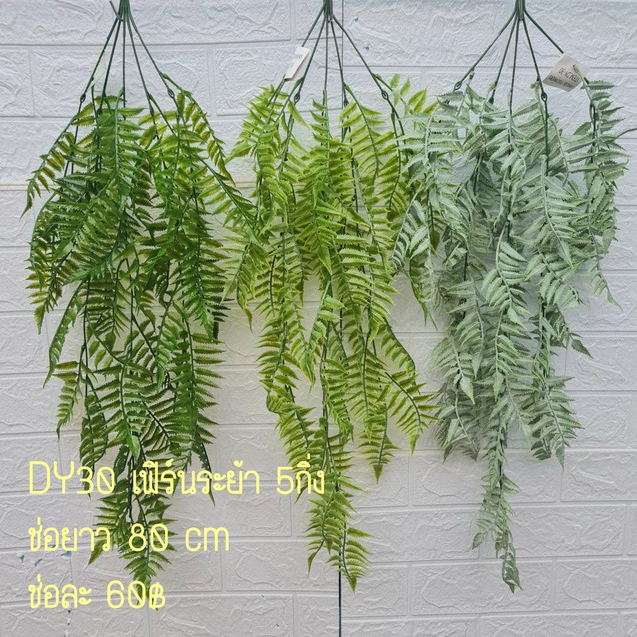 เฟิร์นระย้า (DY30), Fern — fine, frond-edged leaves that read as soft, shaded texture.